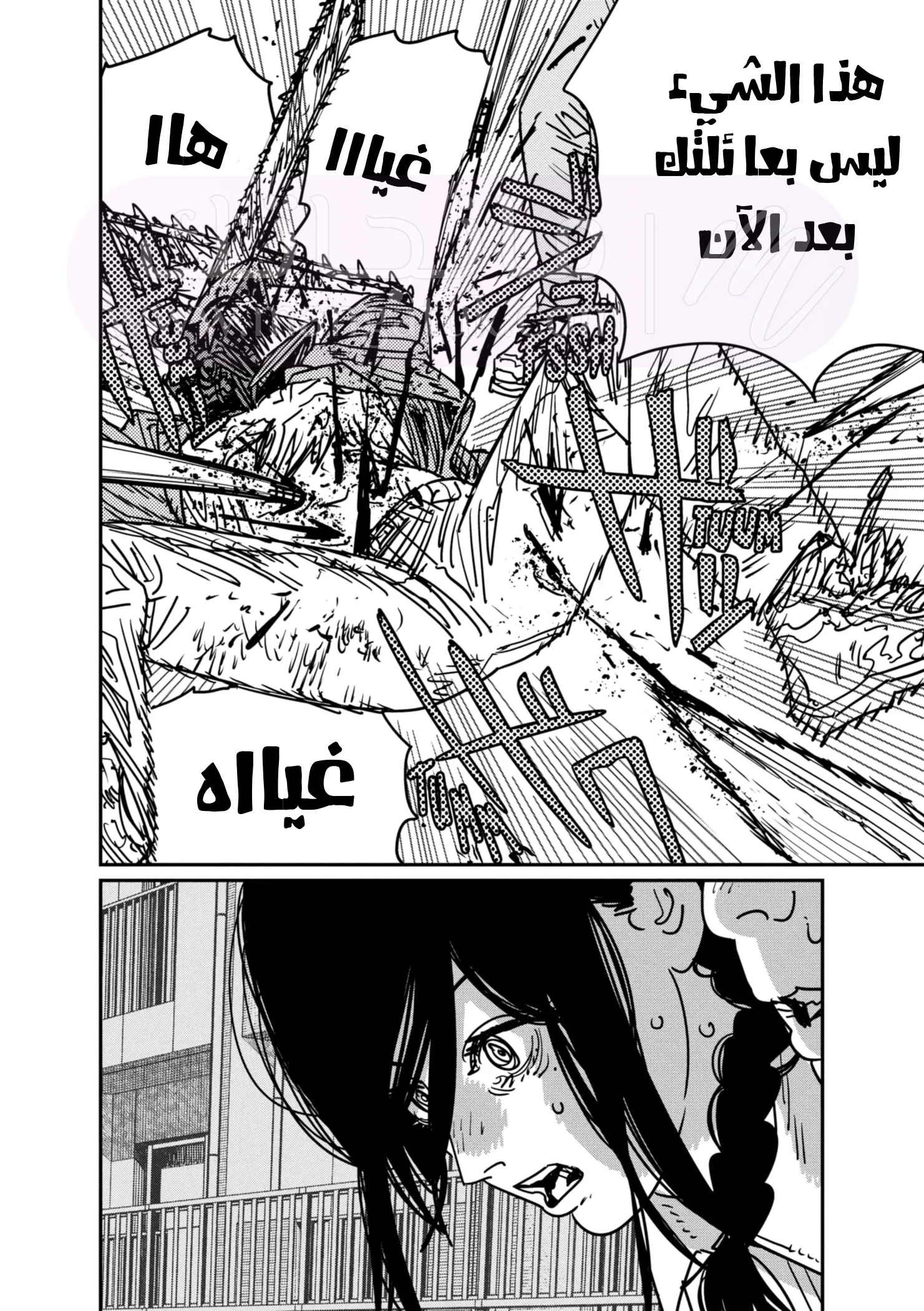 الصفحة 17