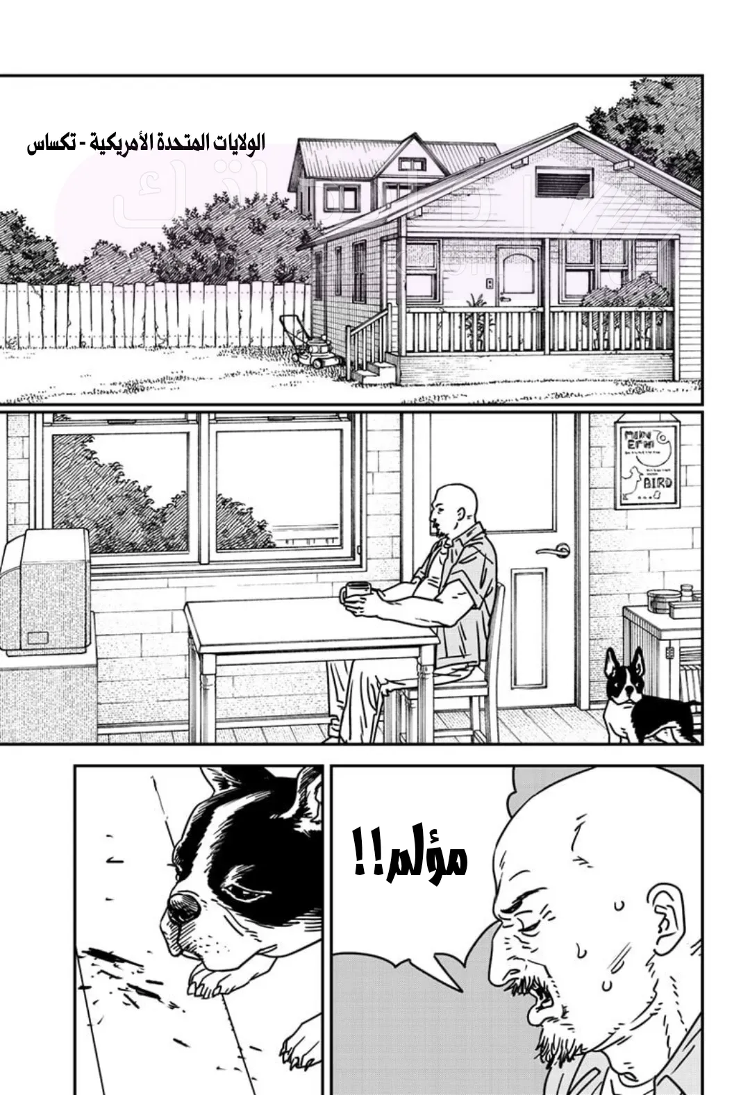 الصفحة 14