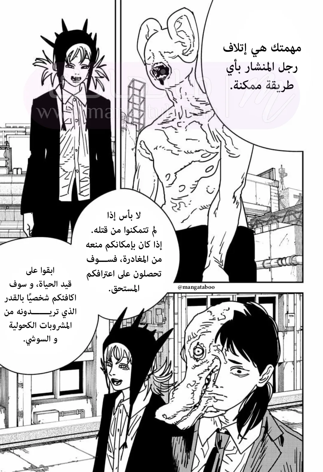 الصفحة 13
