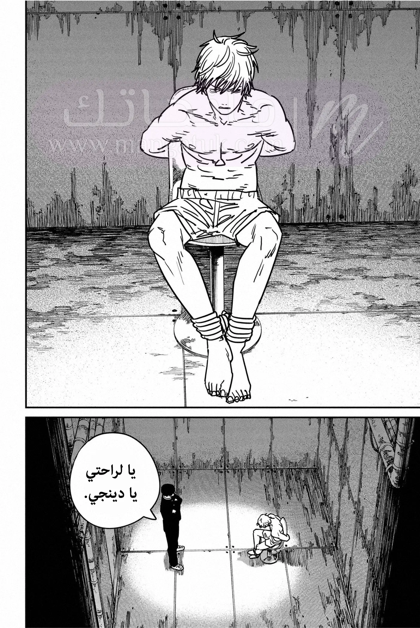 الصفحة 13