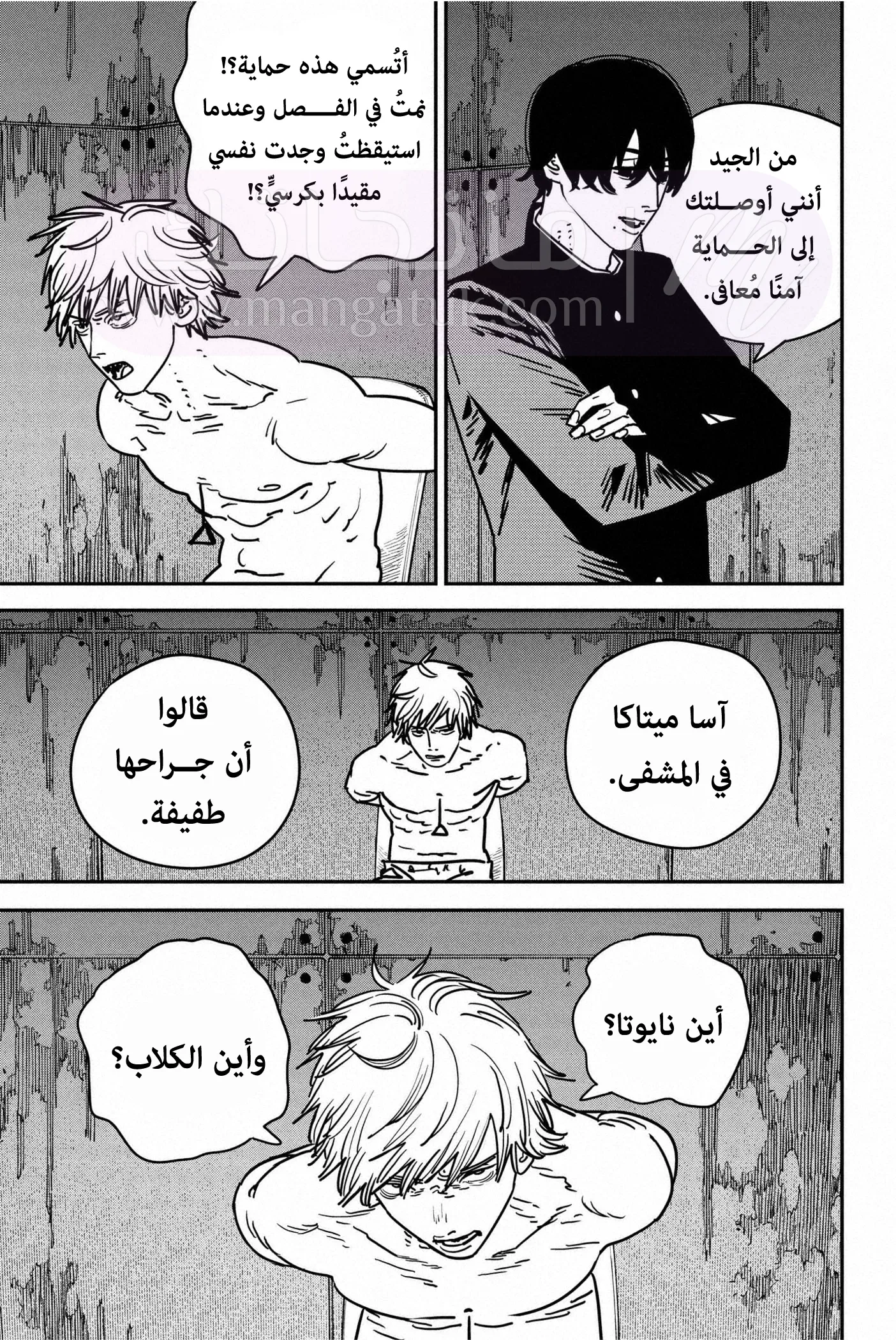 الصفحة 14