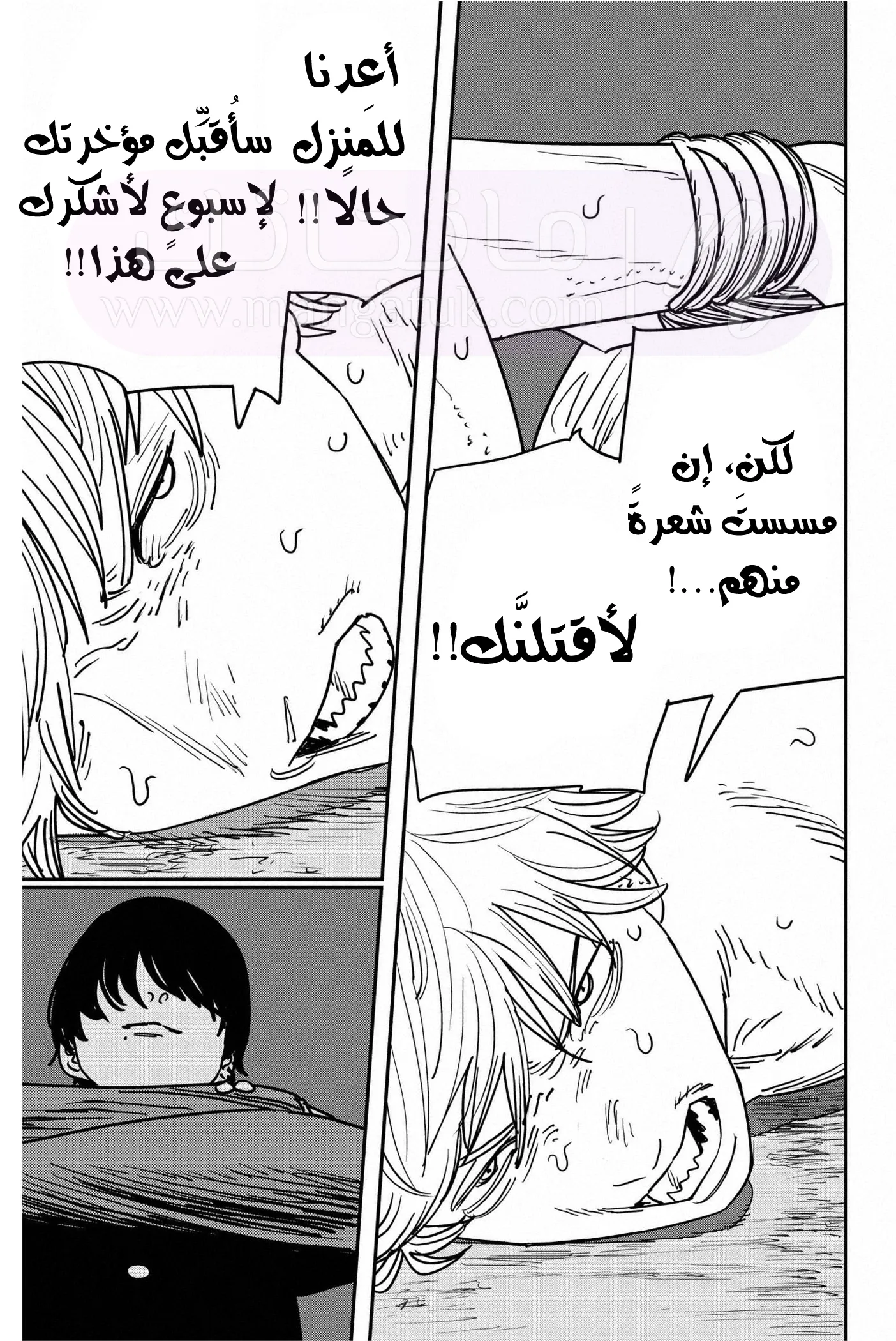 الصفحة 16