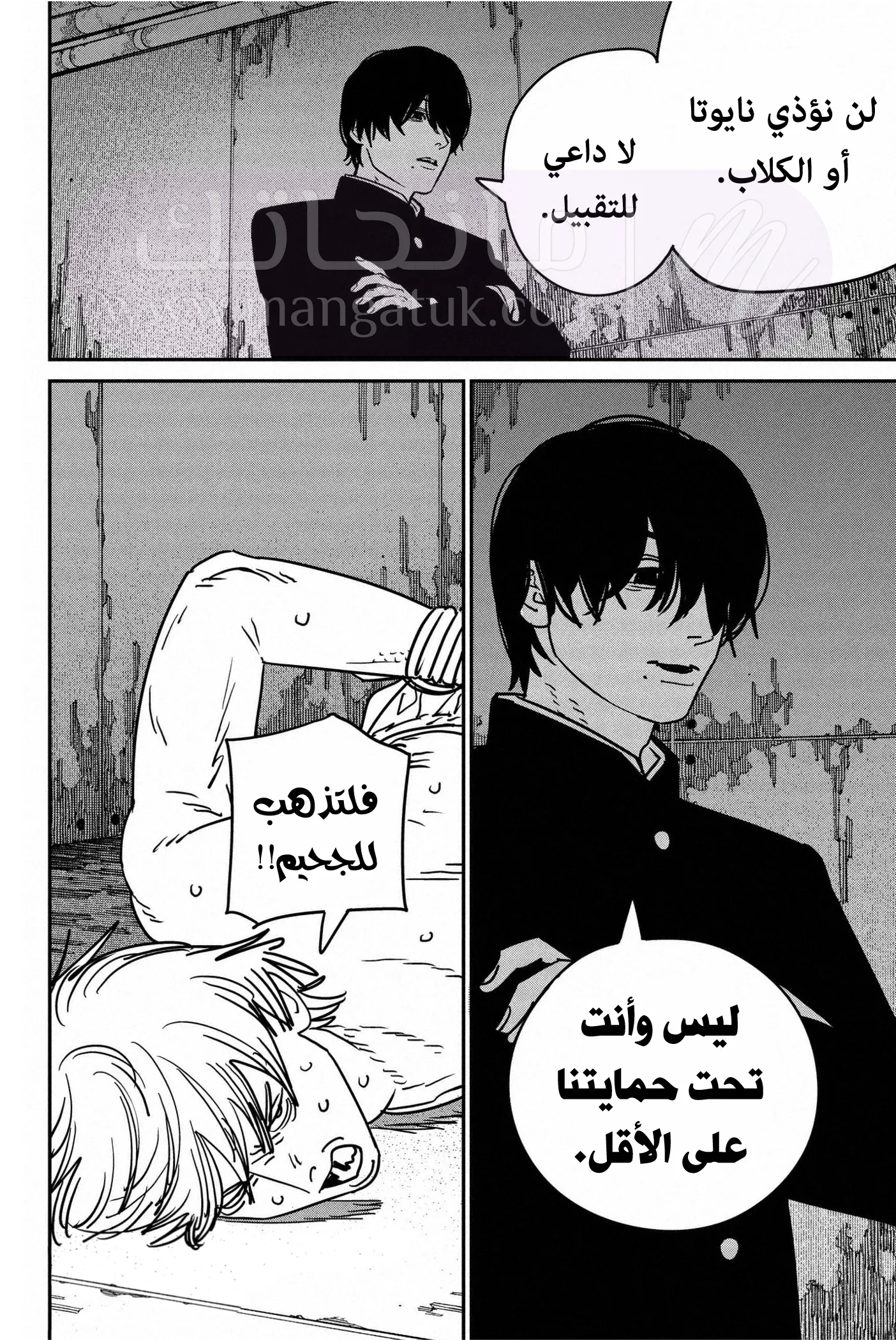 الصفحة 17