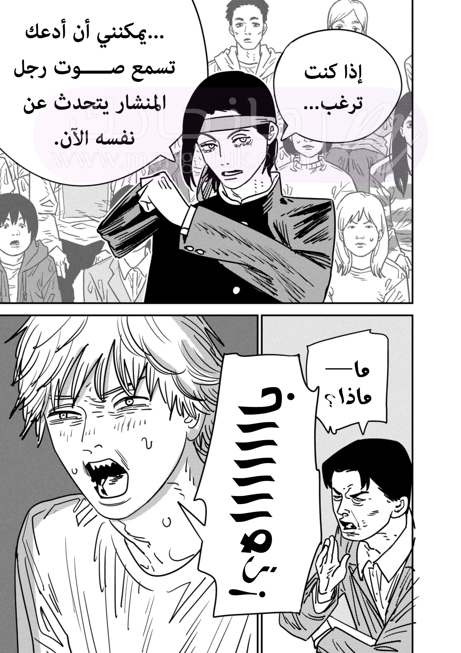 الصفحة 12