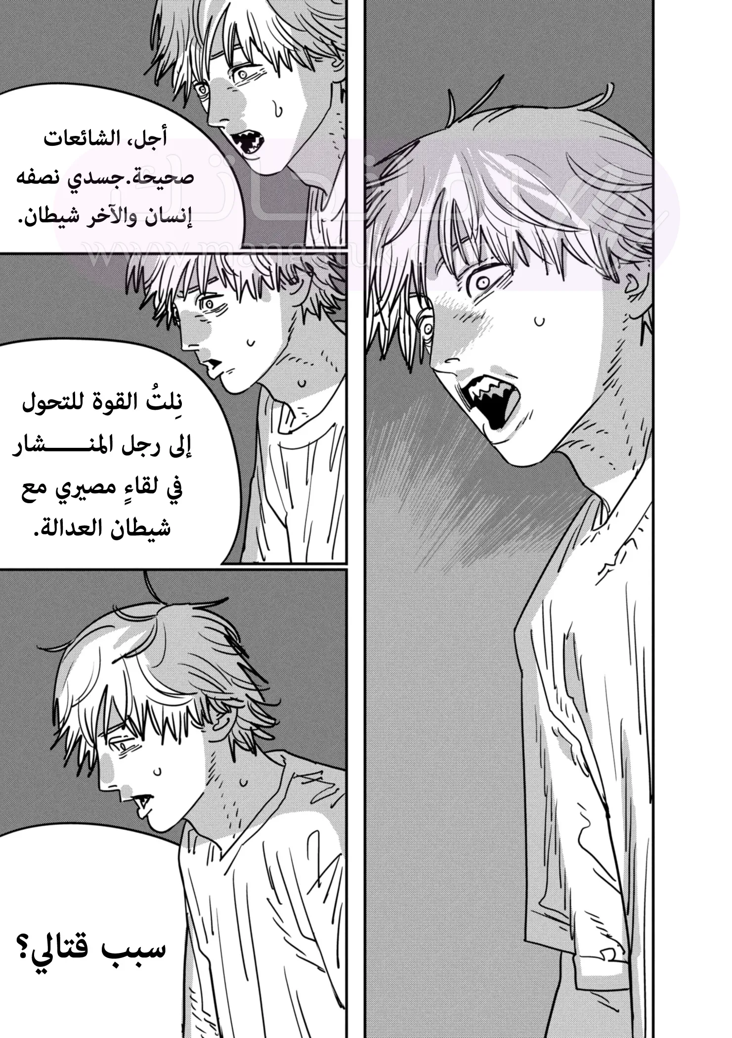 الصفحة 16