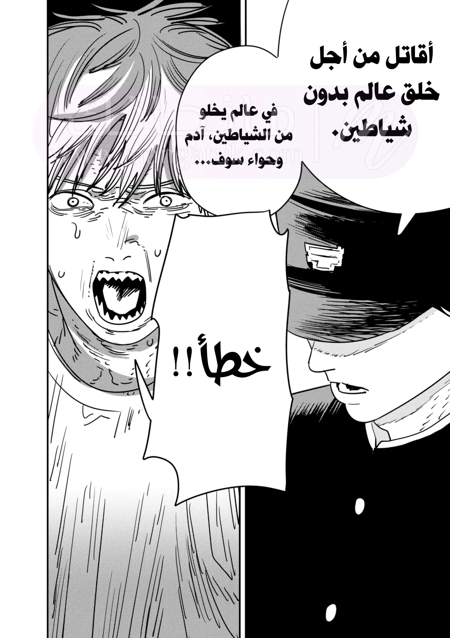 الصفحة 17