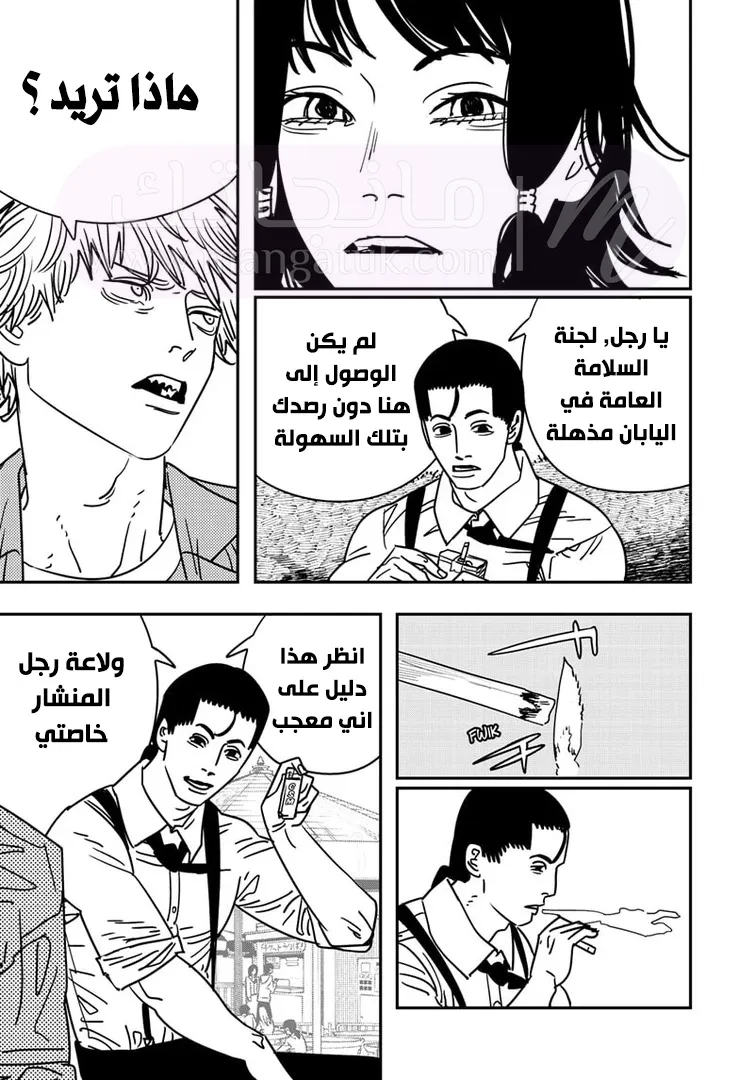 الصفحة 12