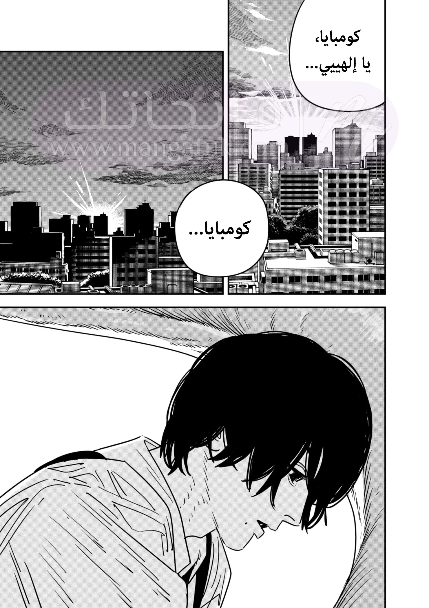 الصفحة 16