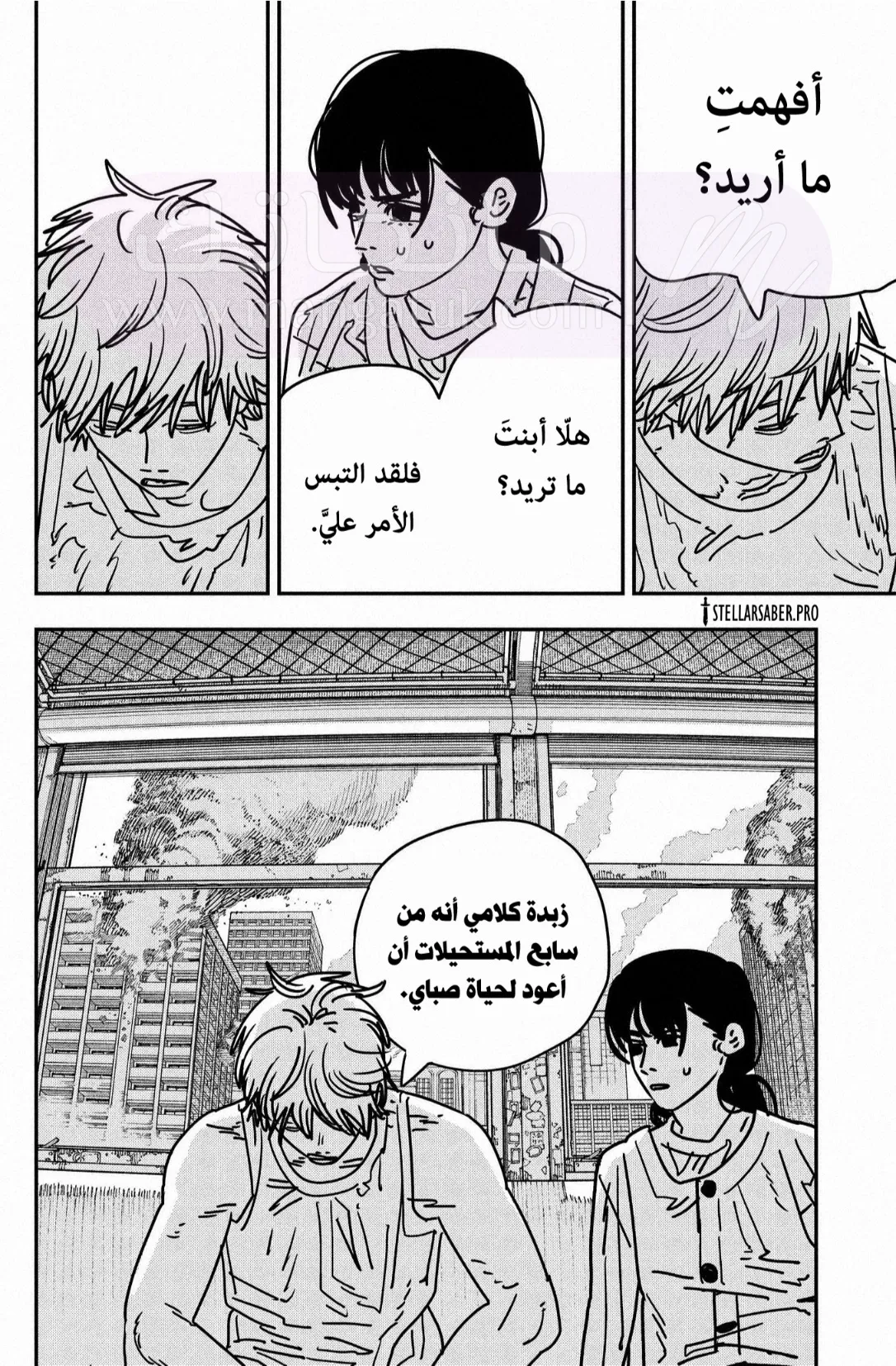 الصفحة 12