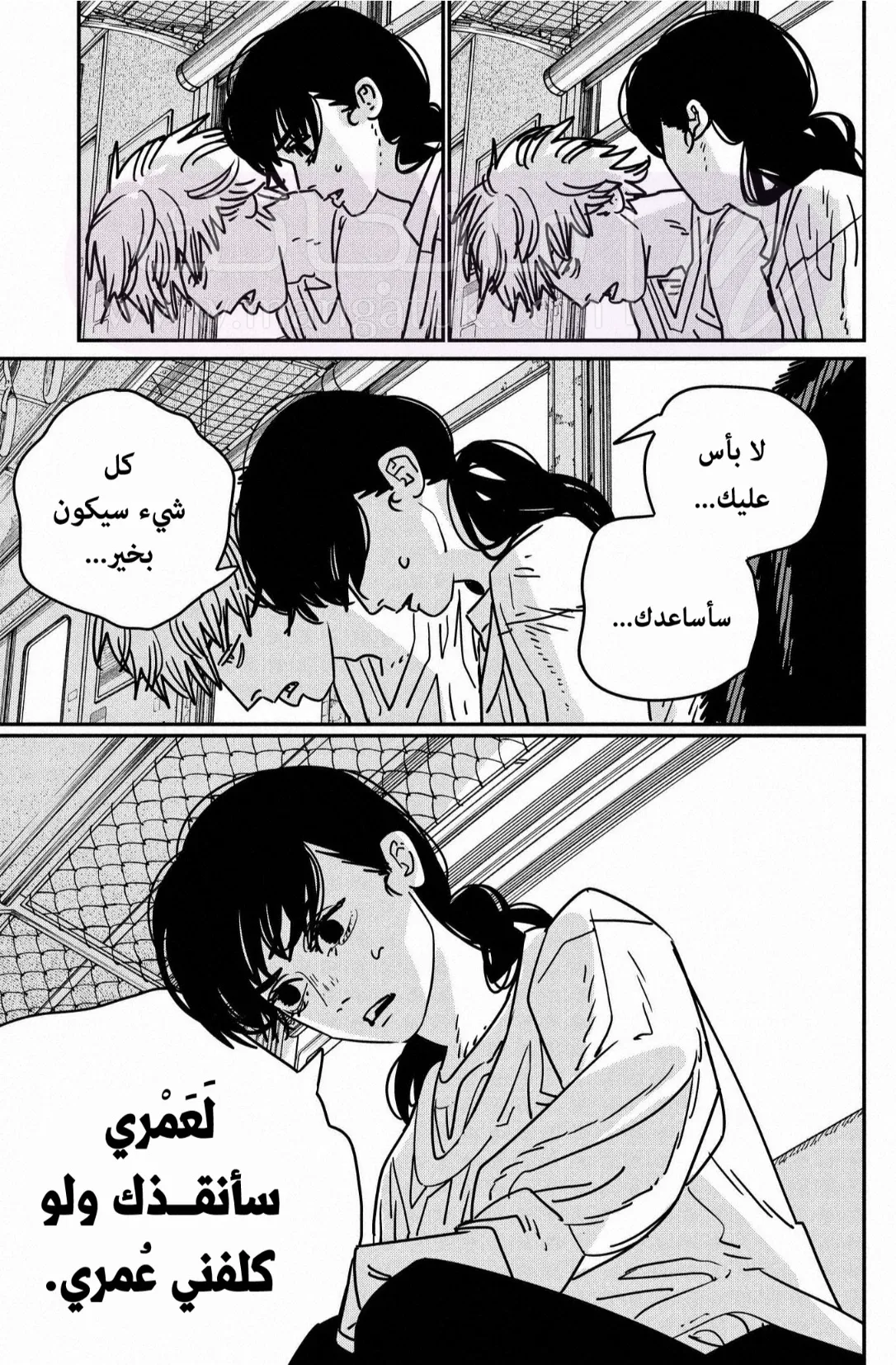 الصفحة 13