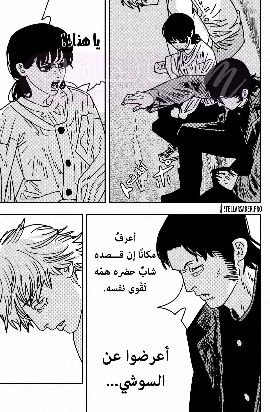 الصفحة 15