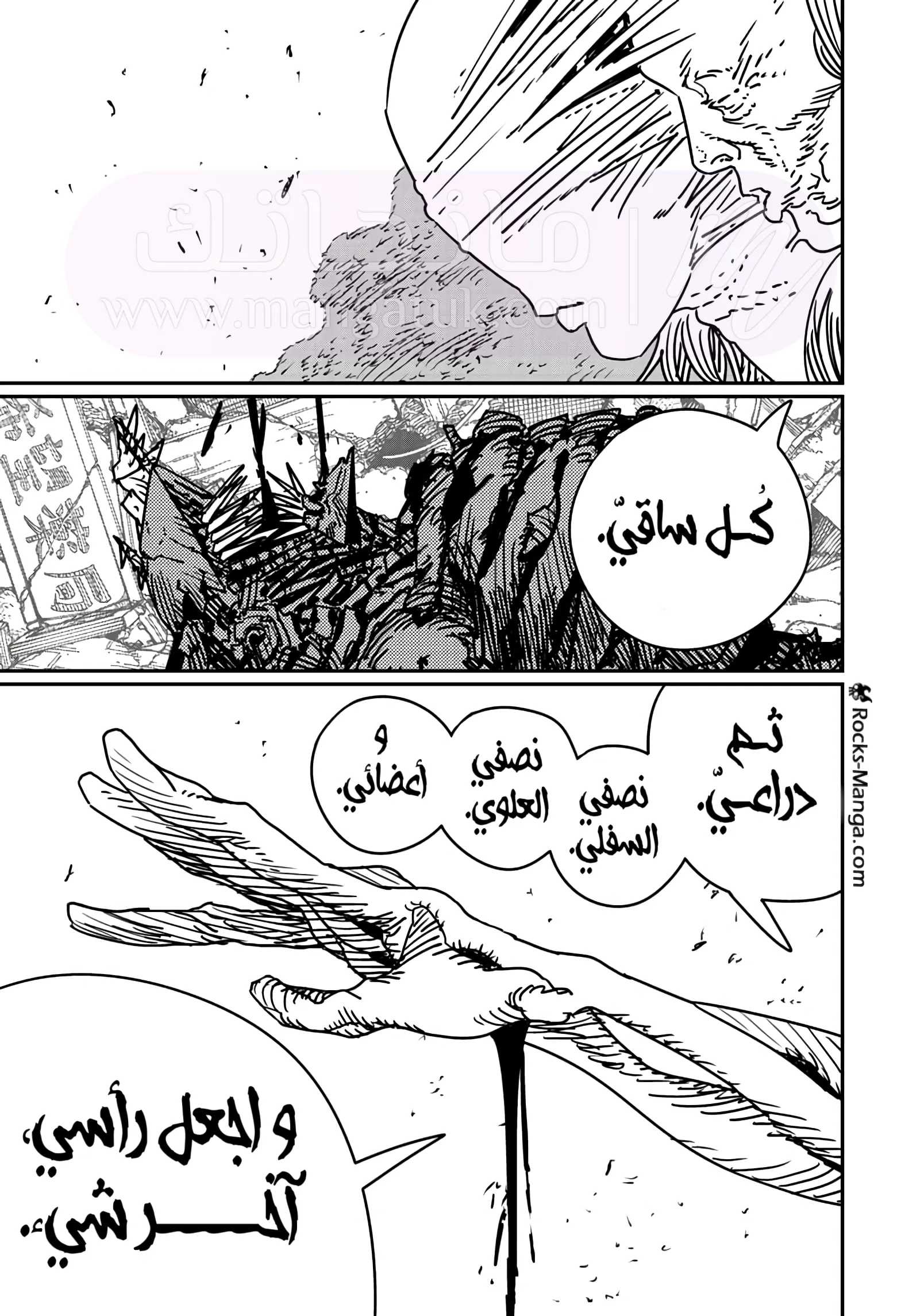 الصفحة 15