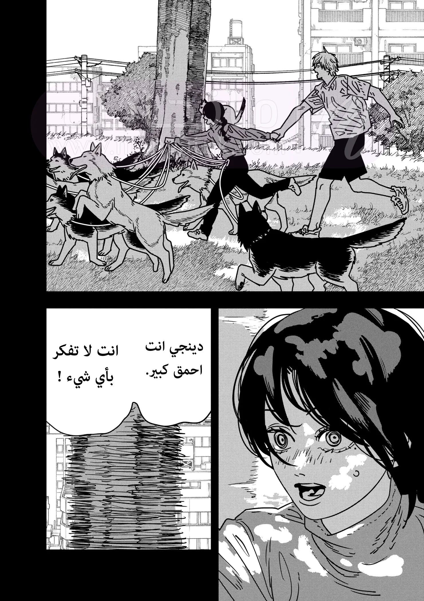 الصفحة 13
