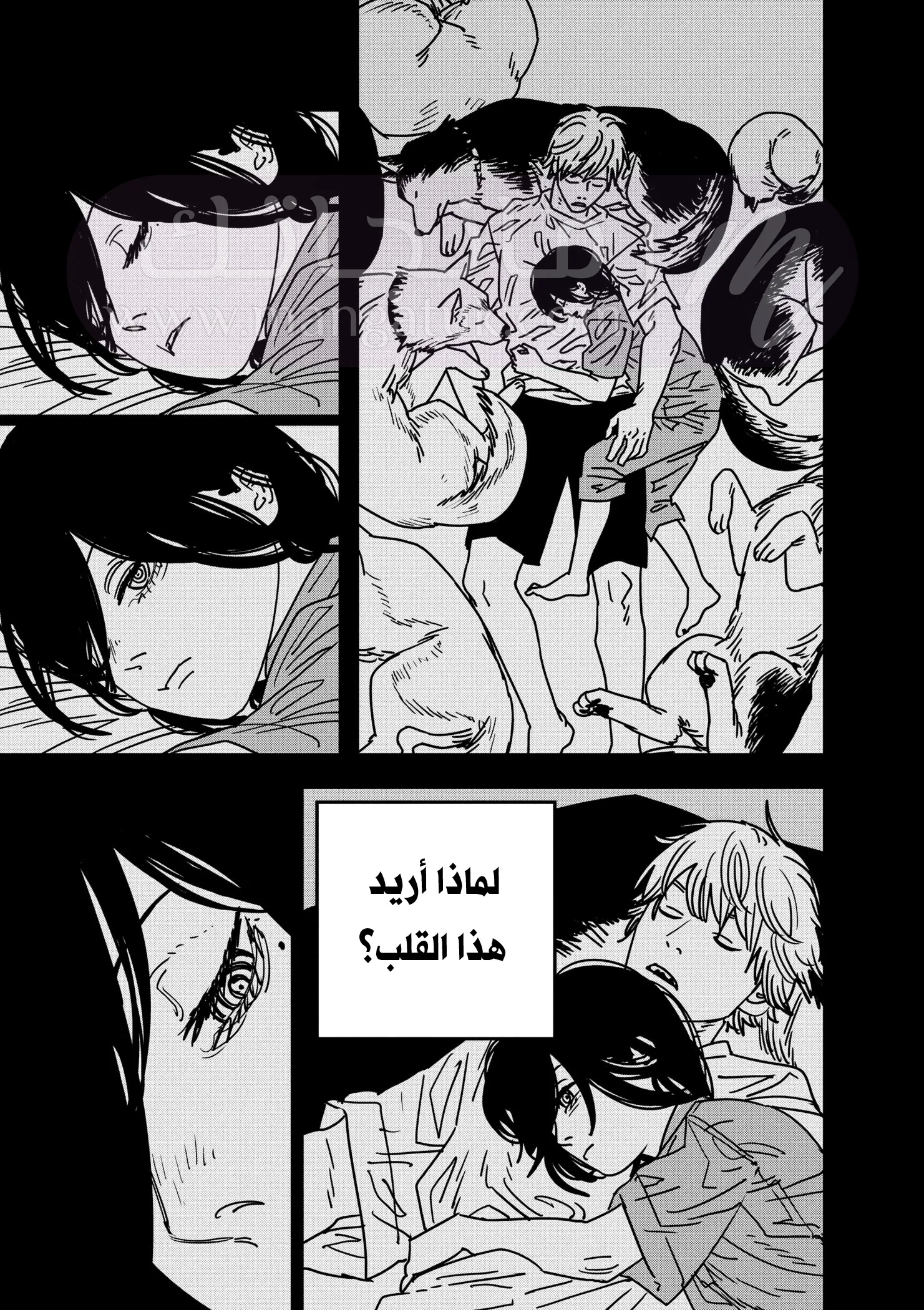 الصفحة 8