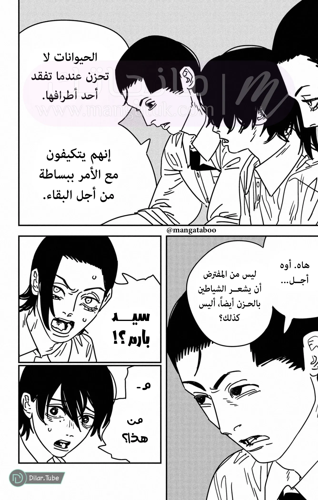 الصفحة 11