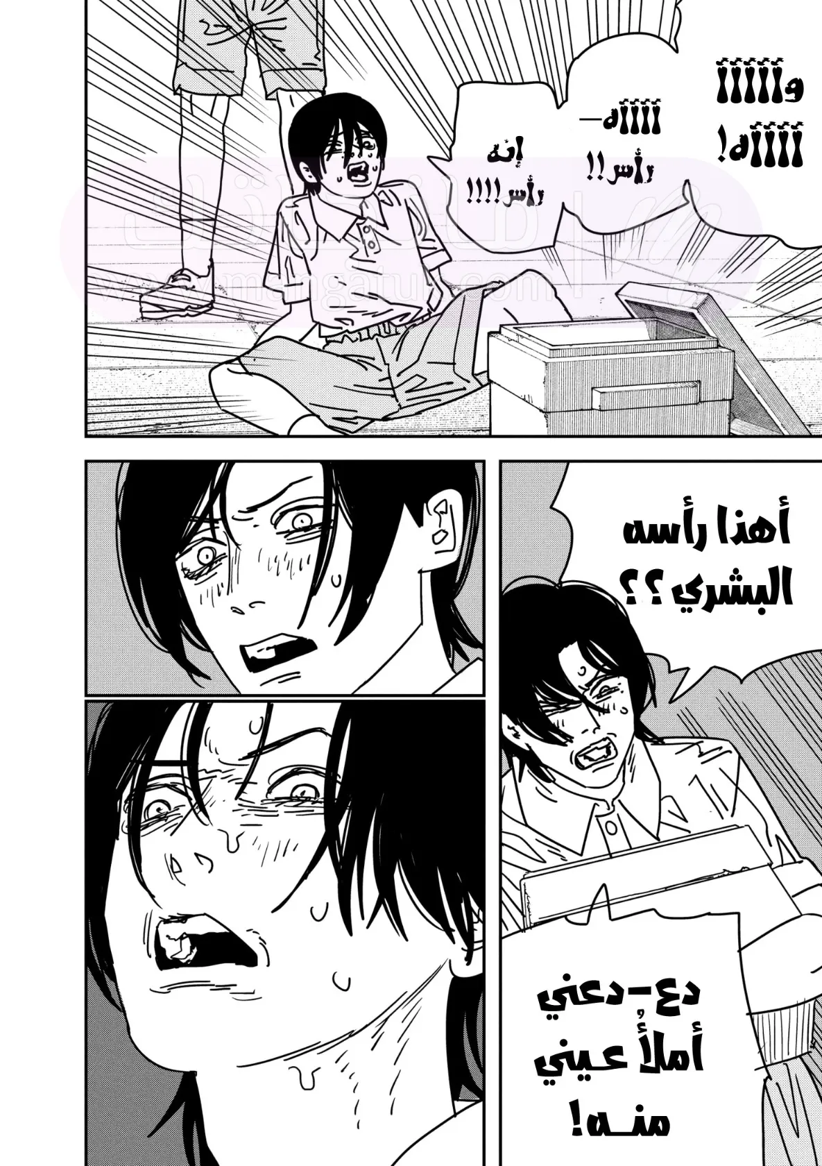 الصفحة 12
