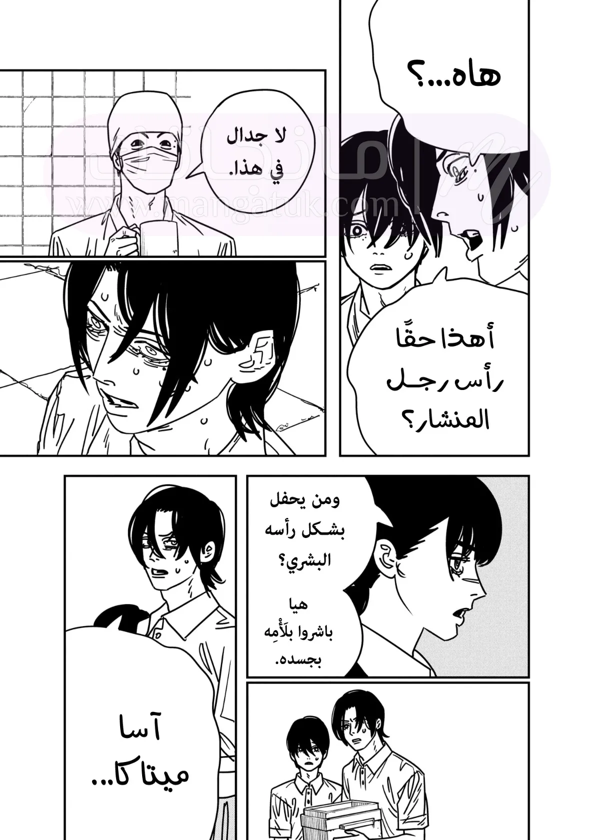 الصفحة 13