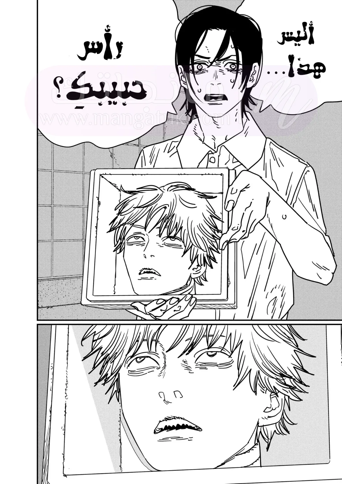 الصفحة 14
