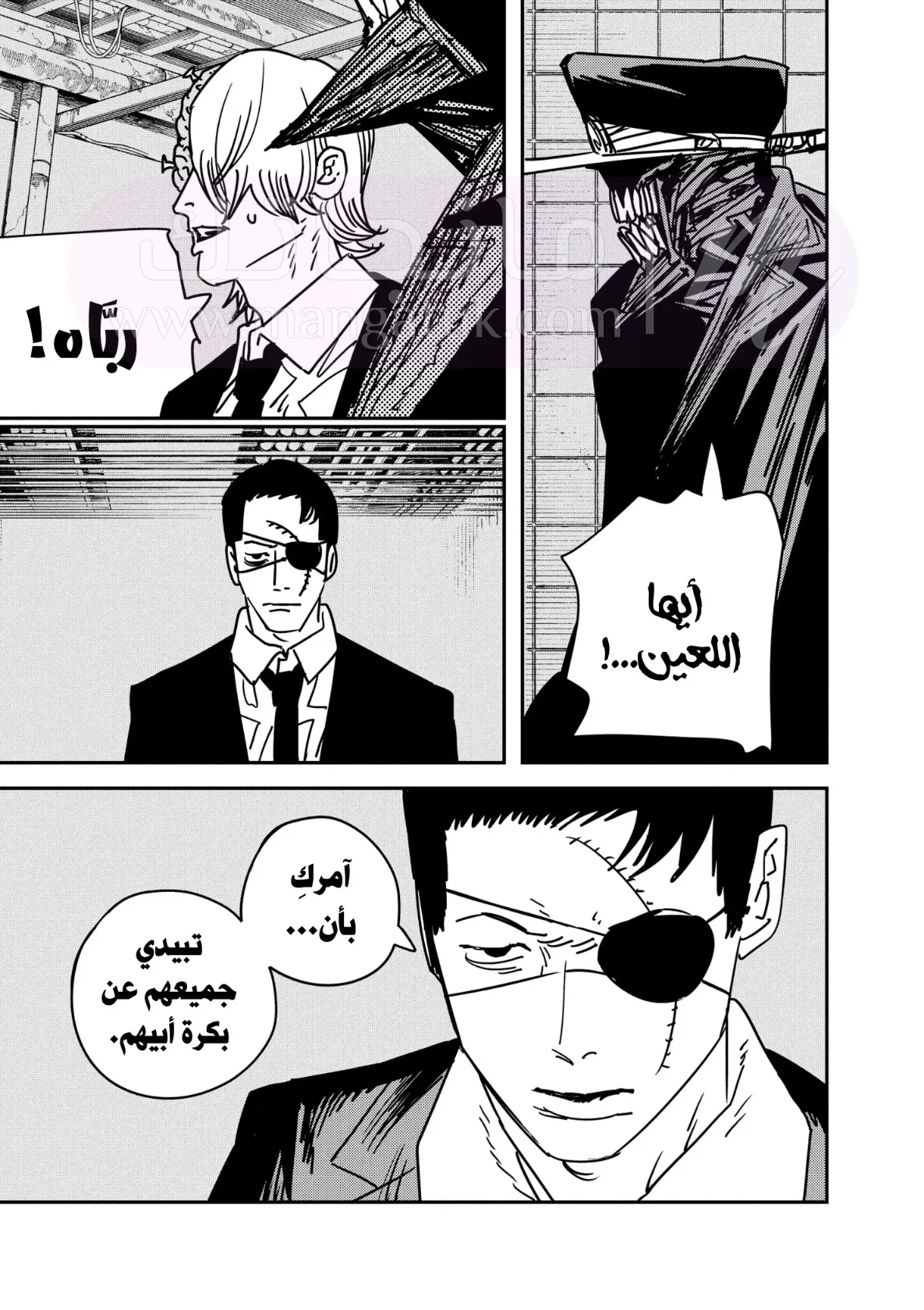 الصفحة 17