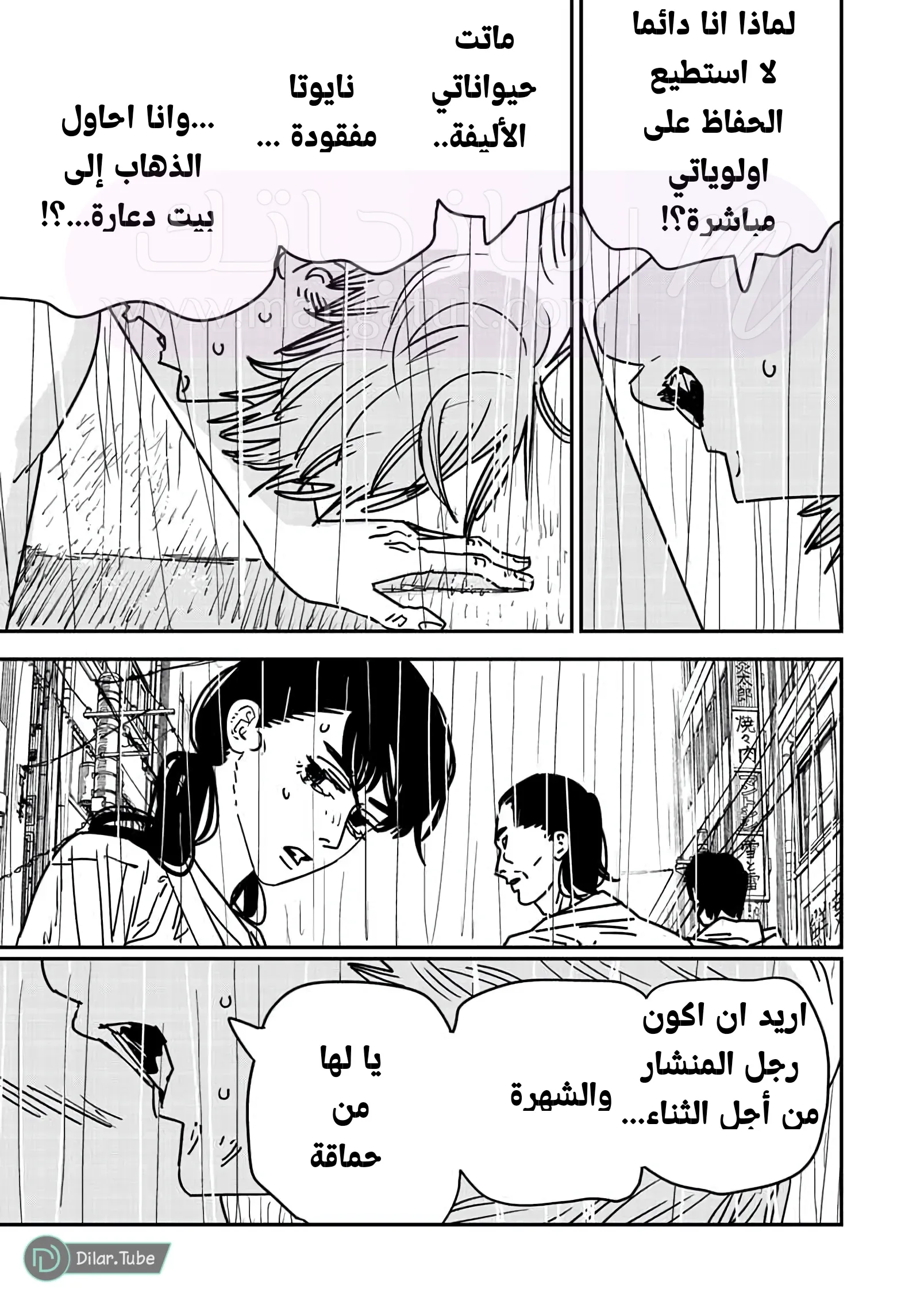 الصفحة 12
