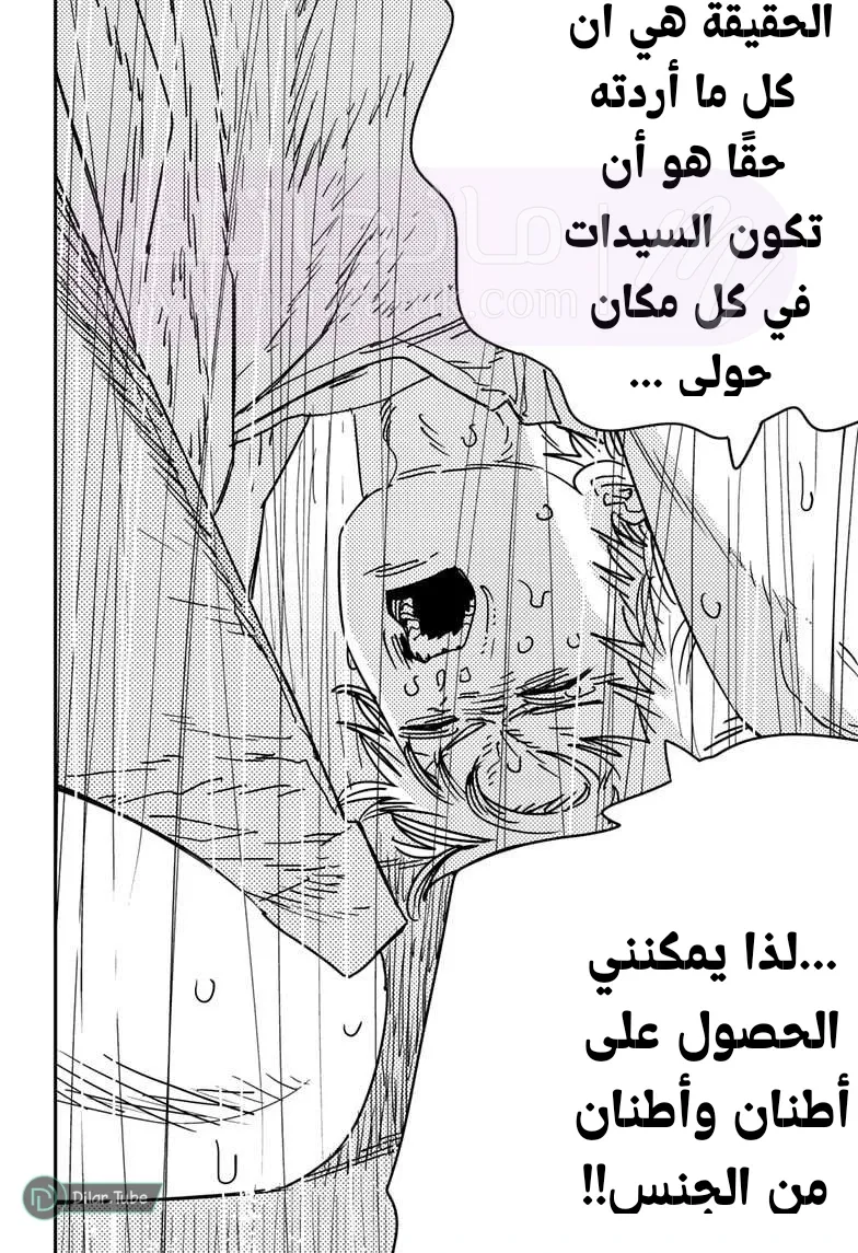الصفحة 13