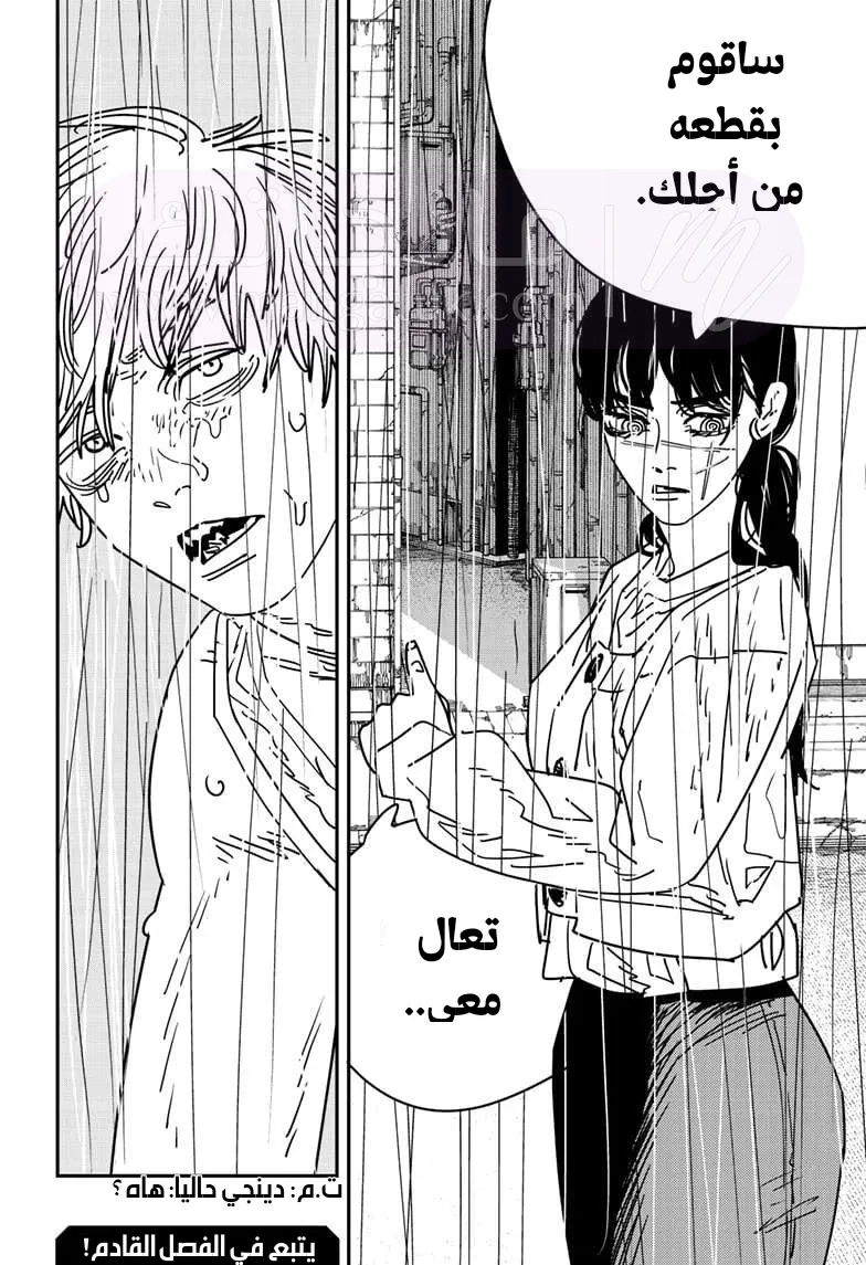 الصفحة 17