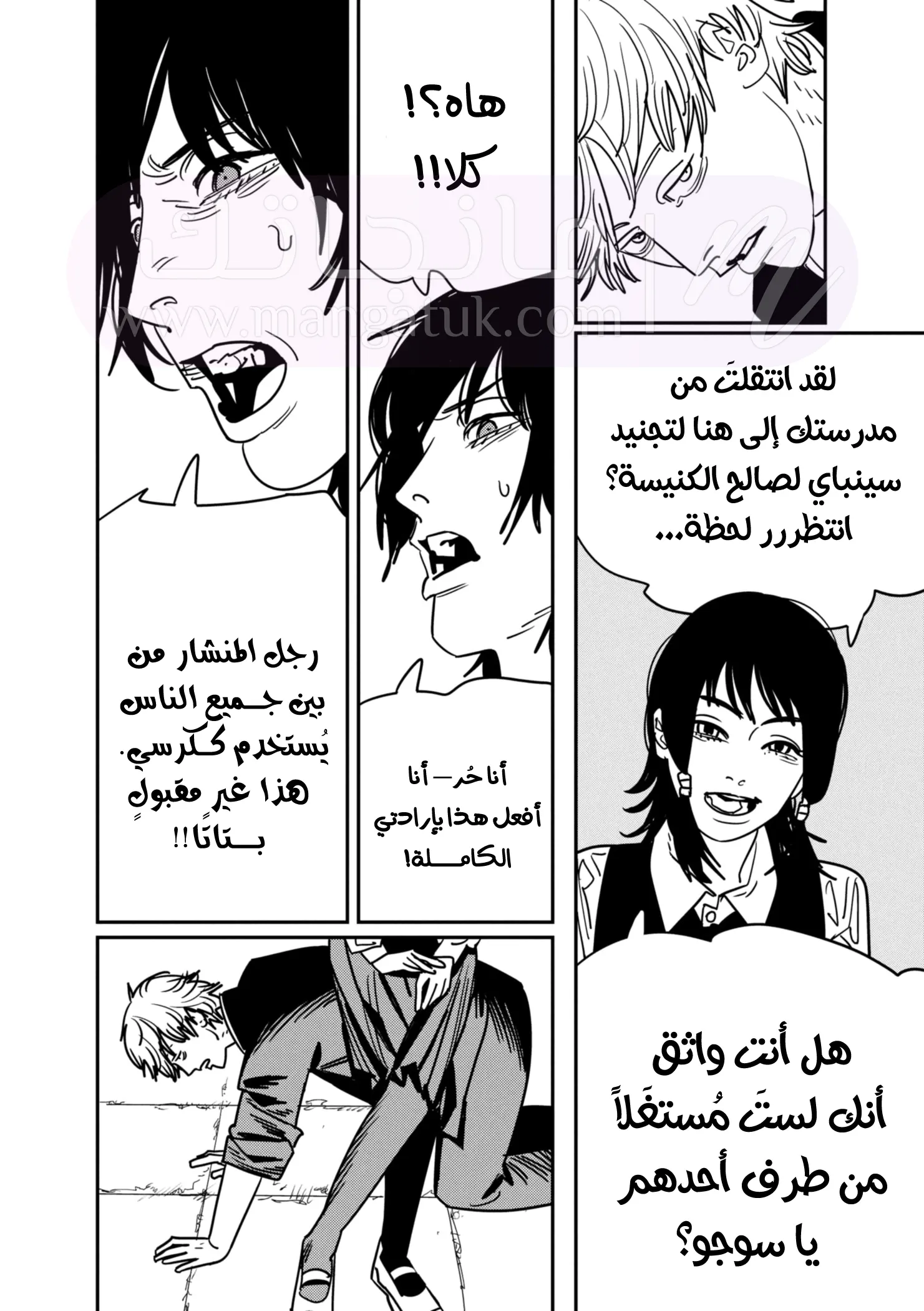 الصفحة 13