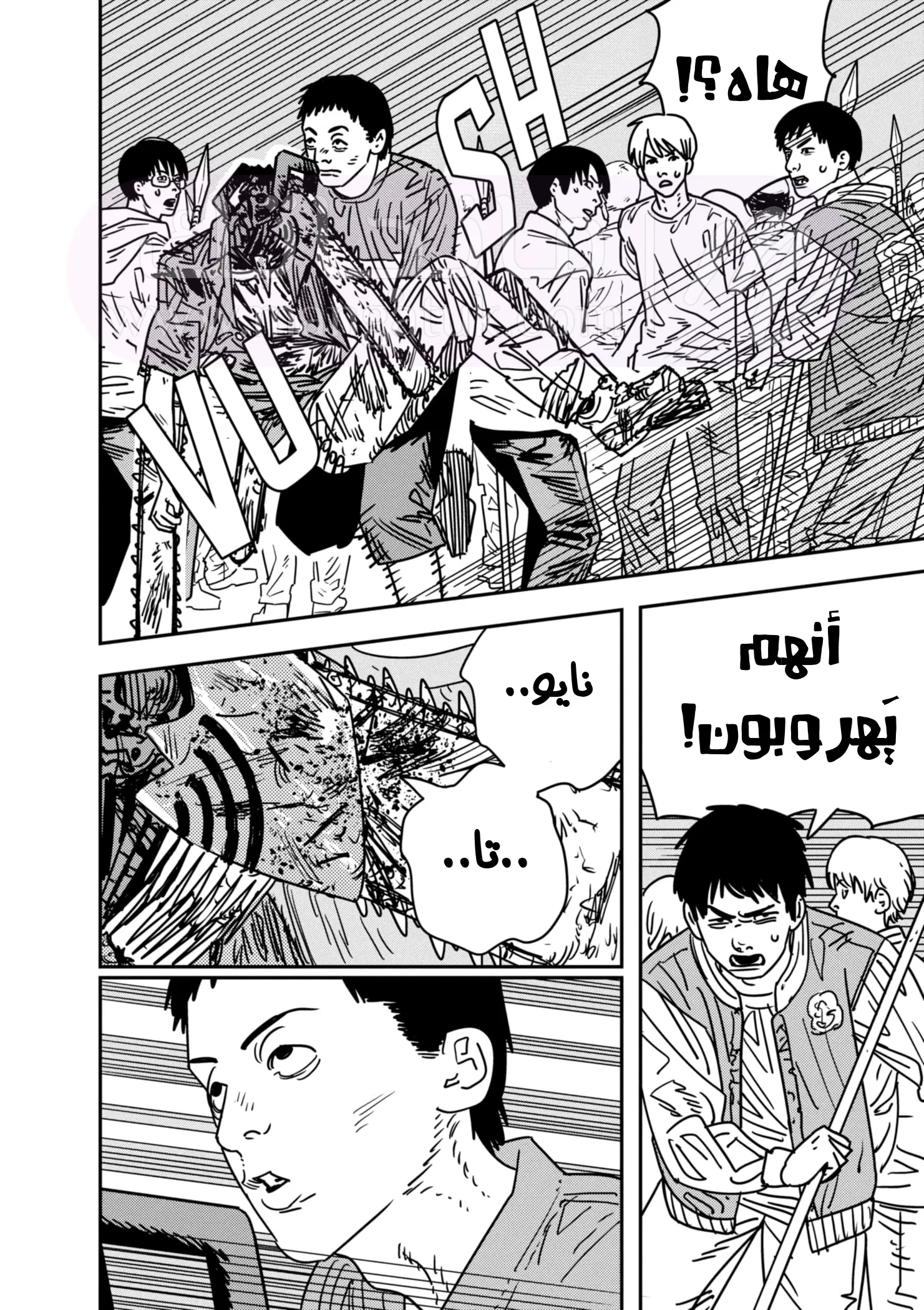الصفحة 12