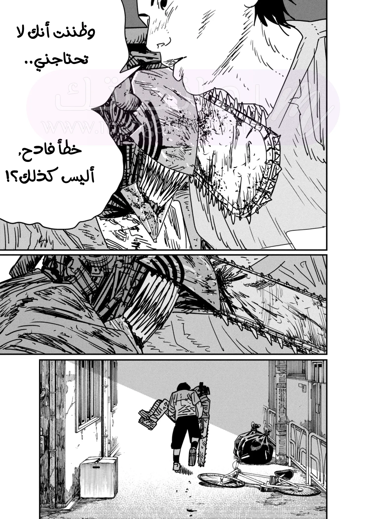 الصفحة 13