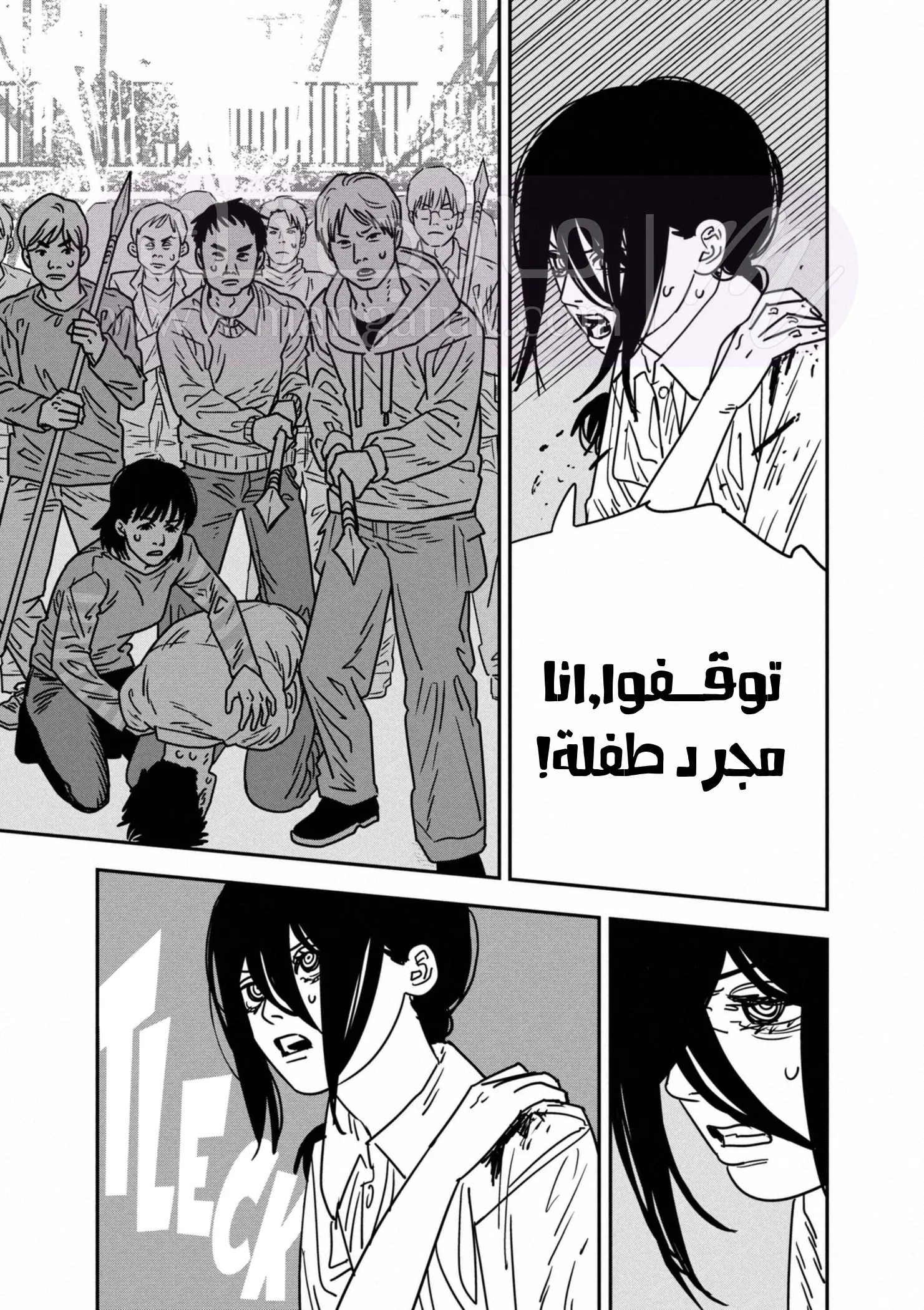 الصفحة 17