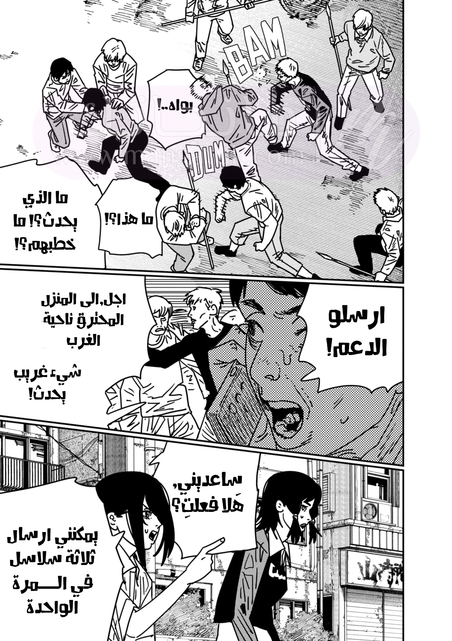 الصفحة 3