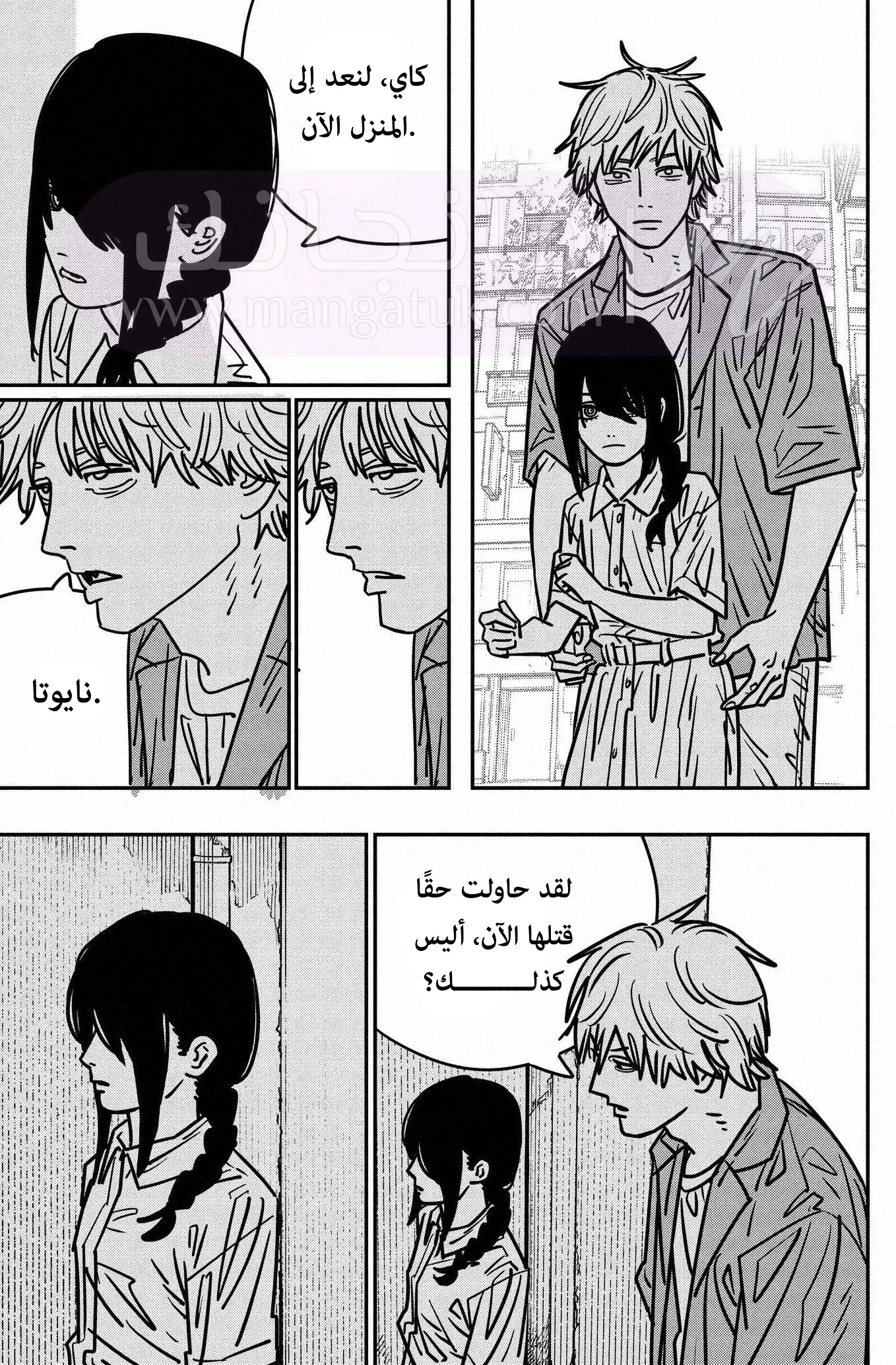 الصفحة 13