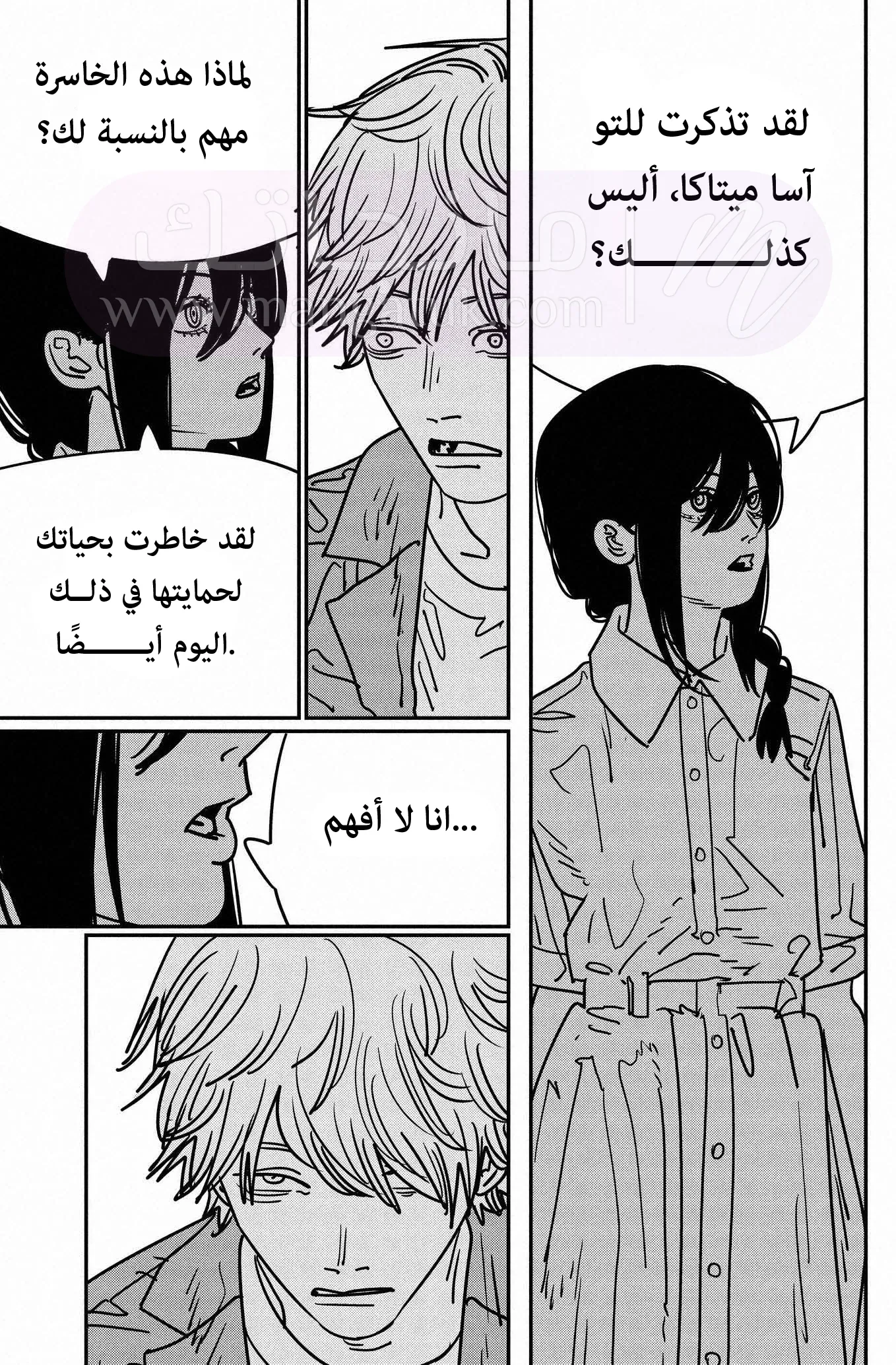 الصفحة 17