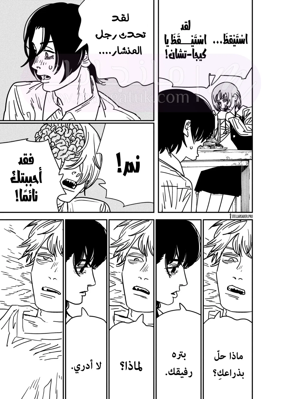 الصفحة 13