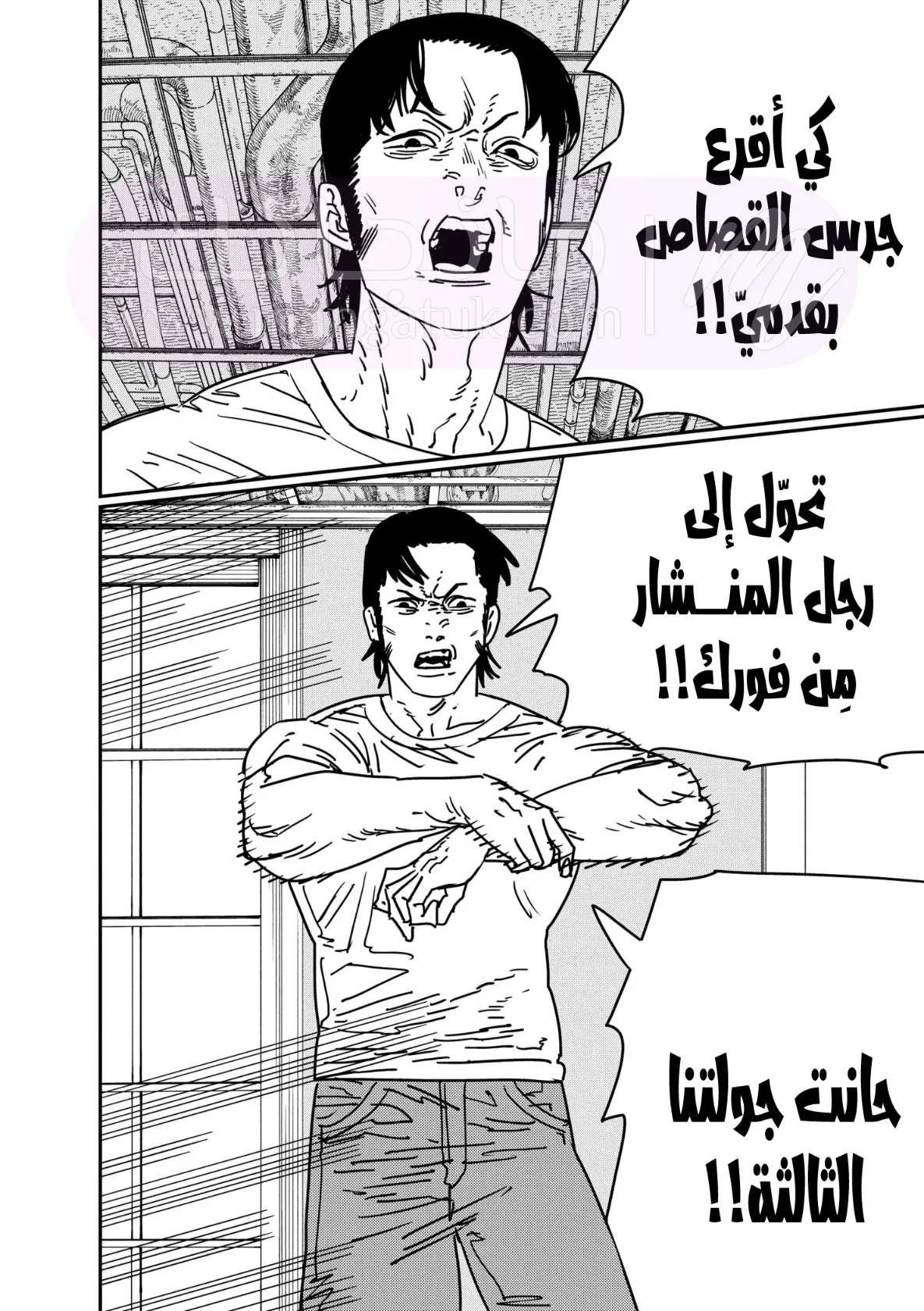 الصفحة 16