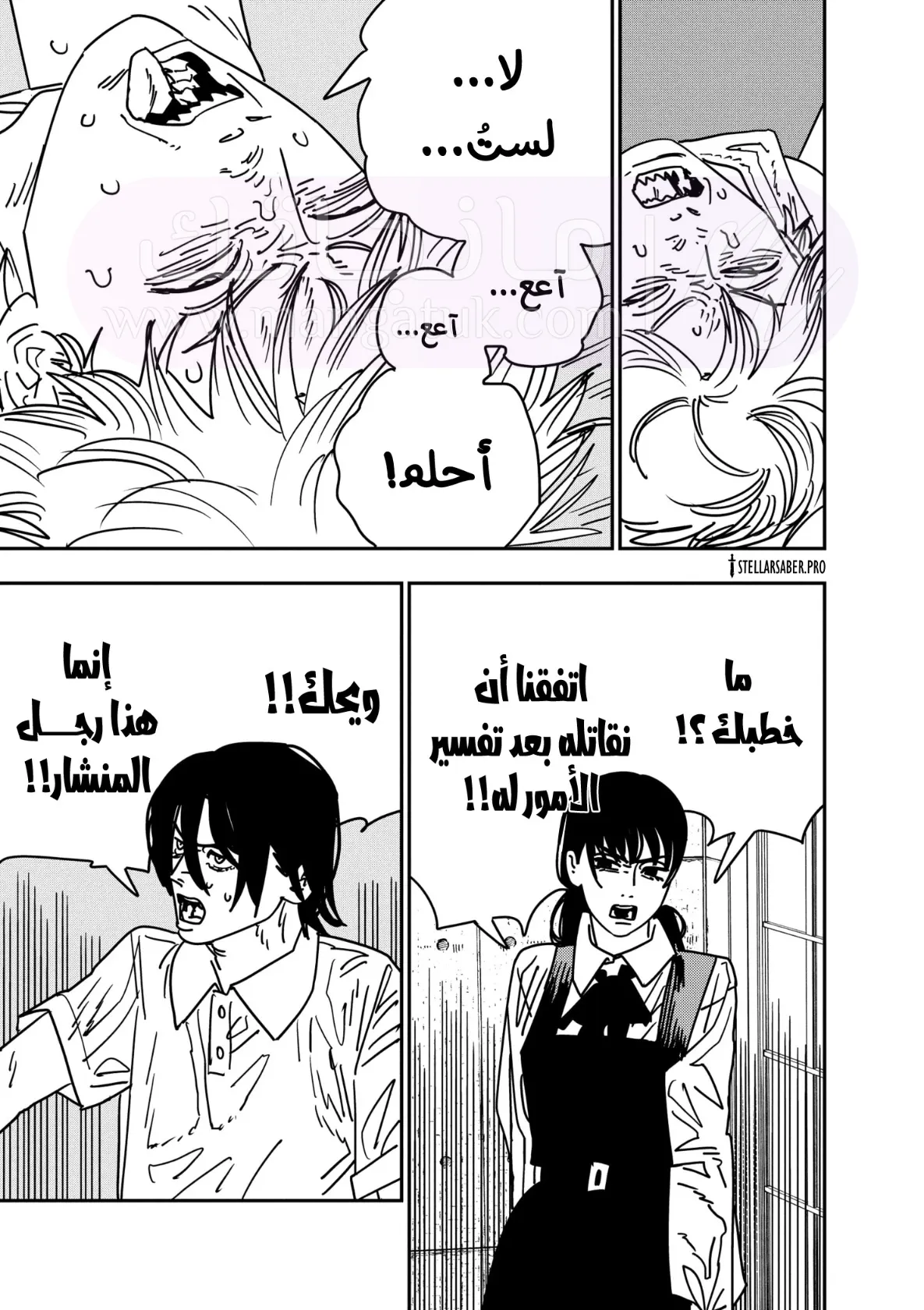 الصفحة 17