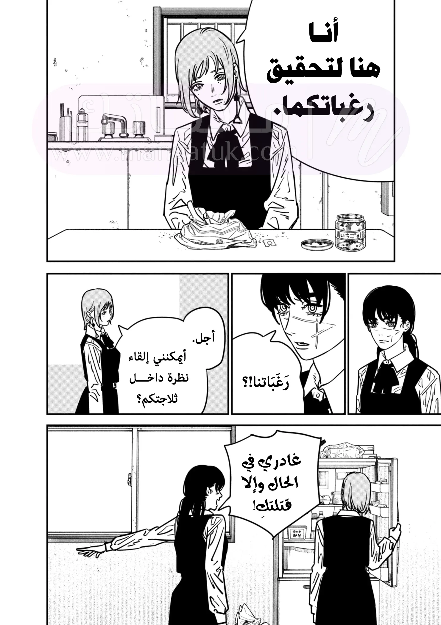 الصفحة 13