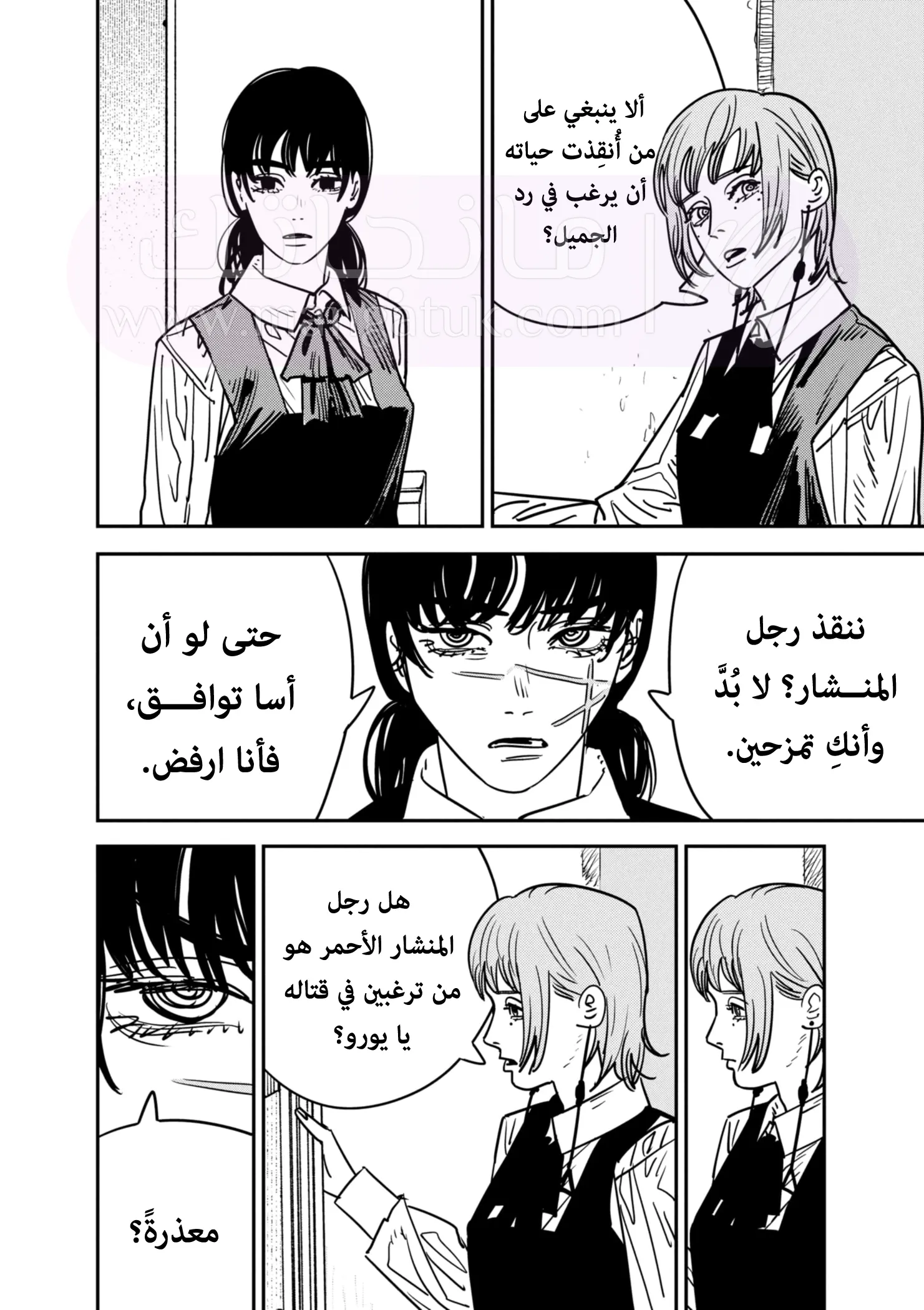 الصفحة 17