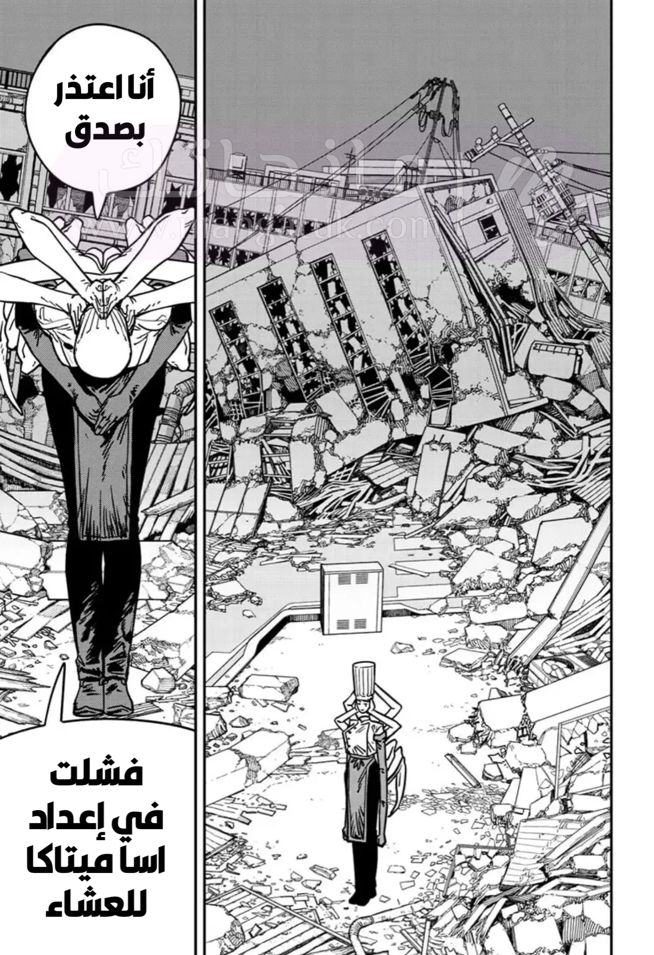 الصفحة 11