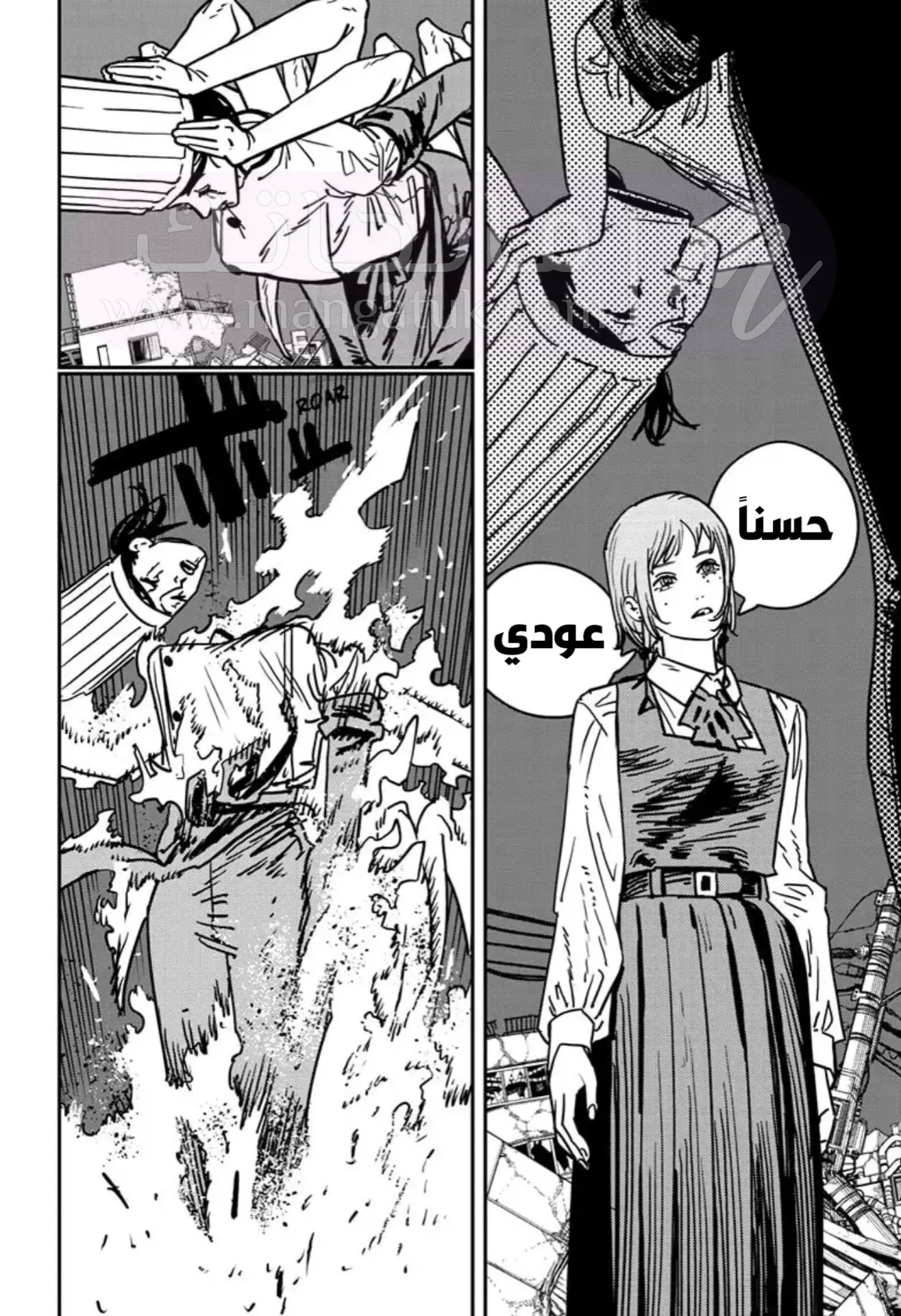 الصفحة 12