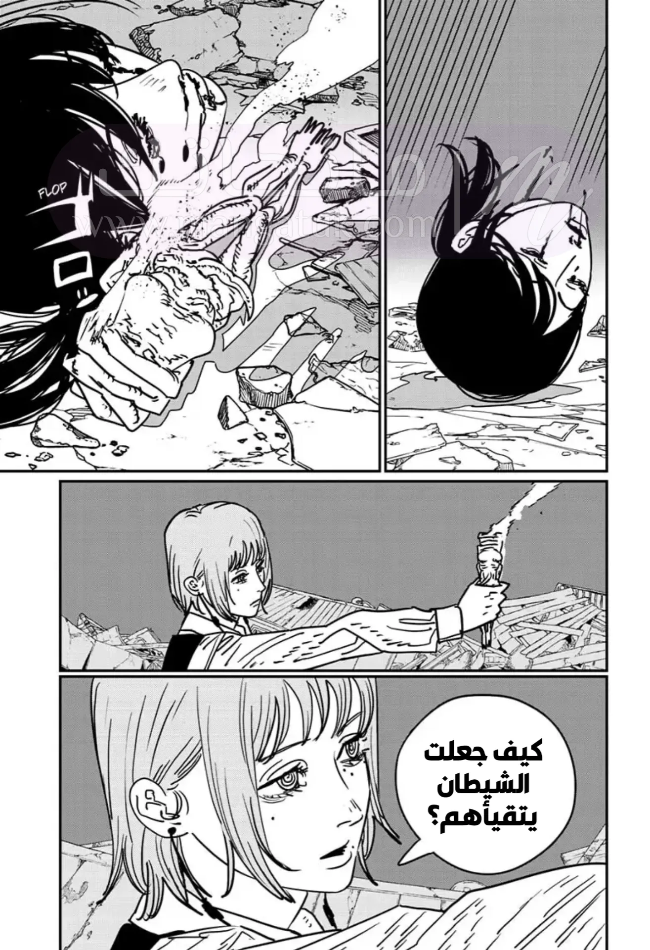 الصفحة 13