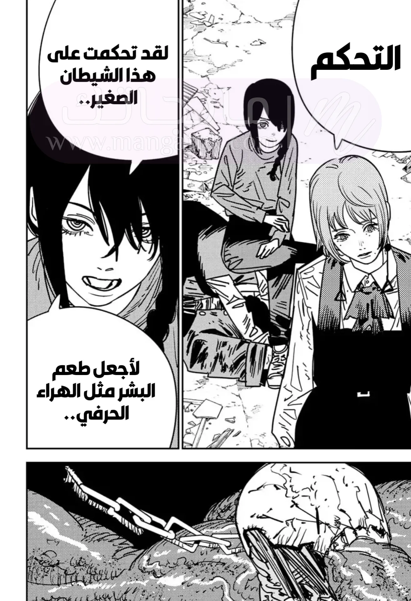 الصفحة 14