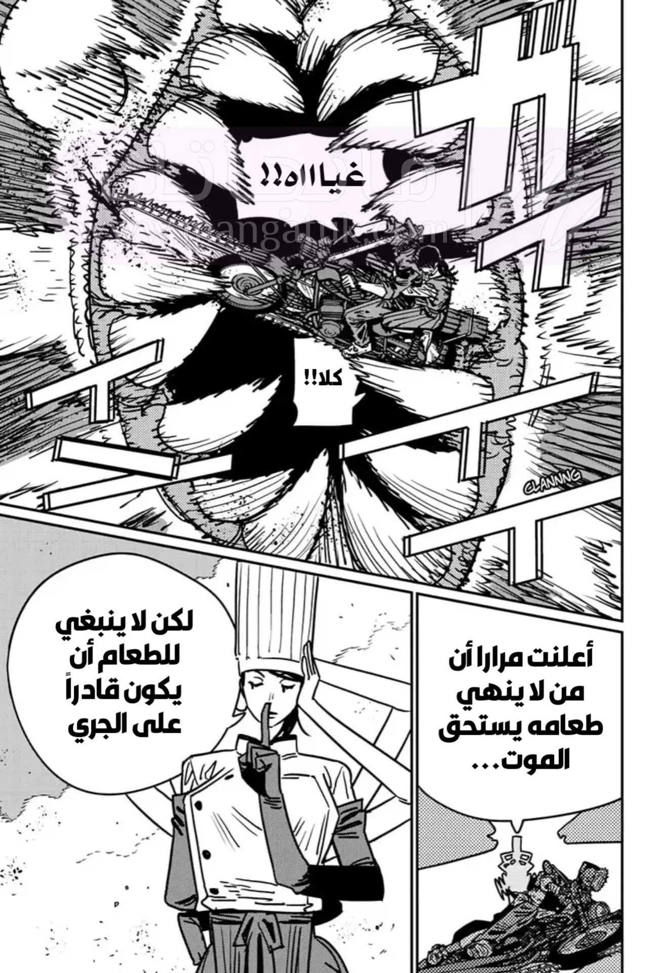الصفحة 3
