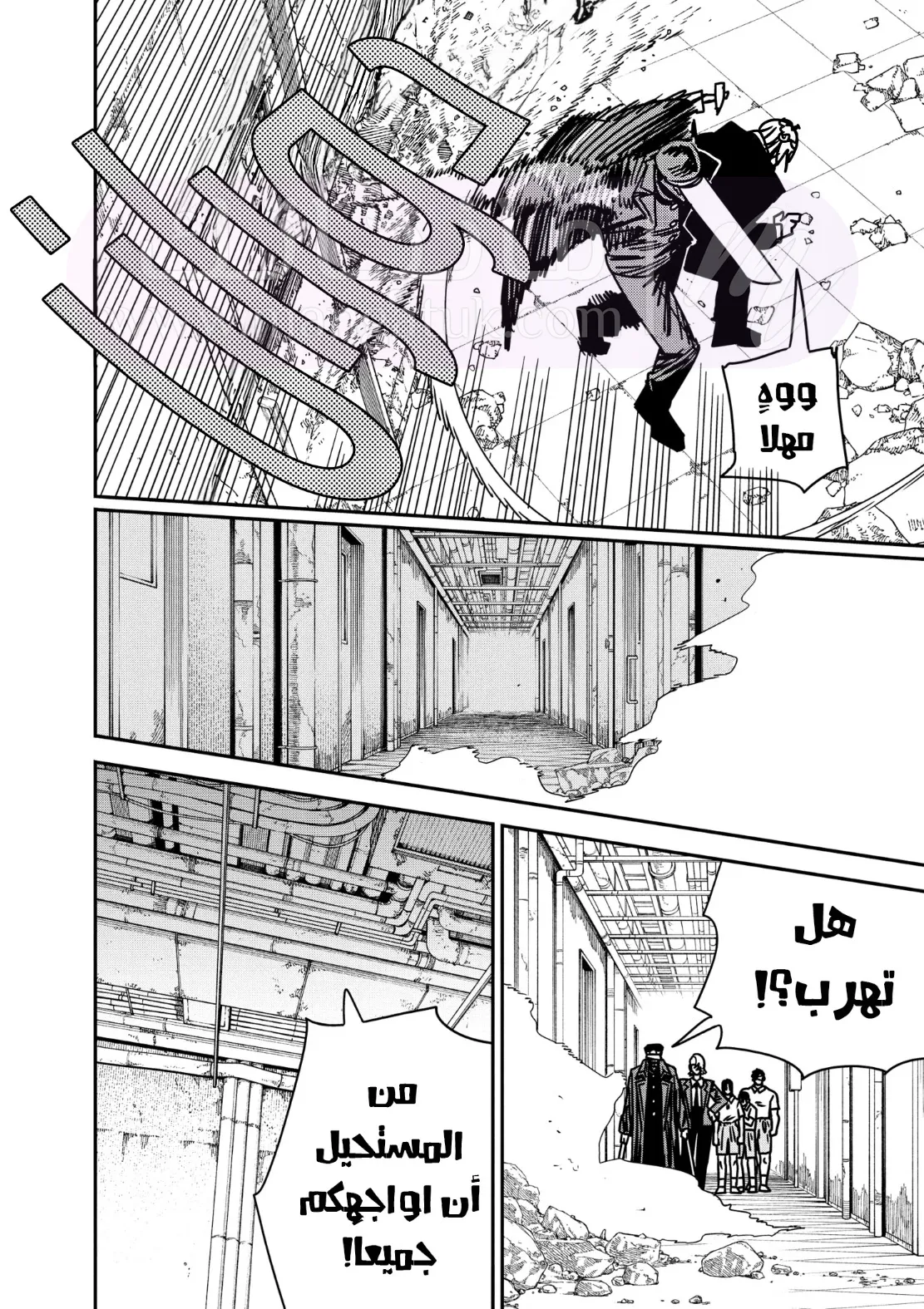 الصفحة 14