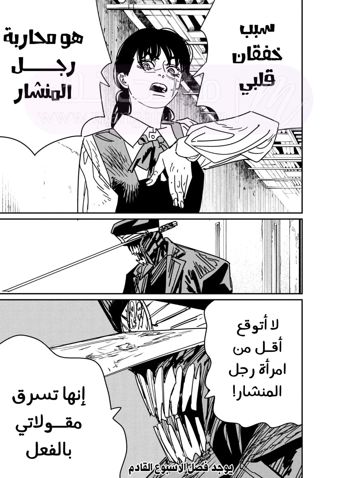 الصفحة 17