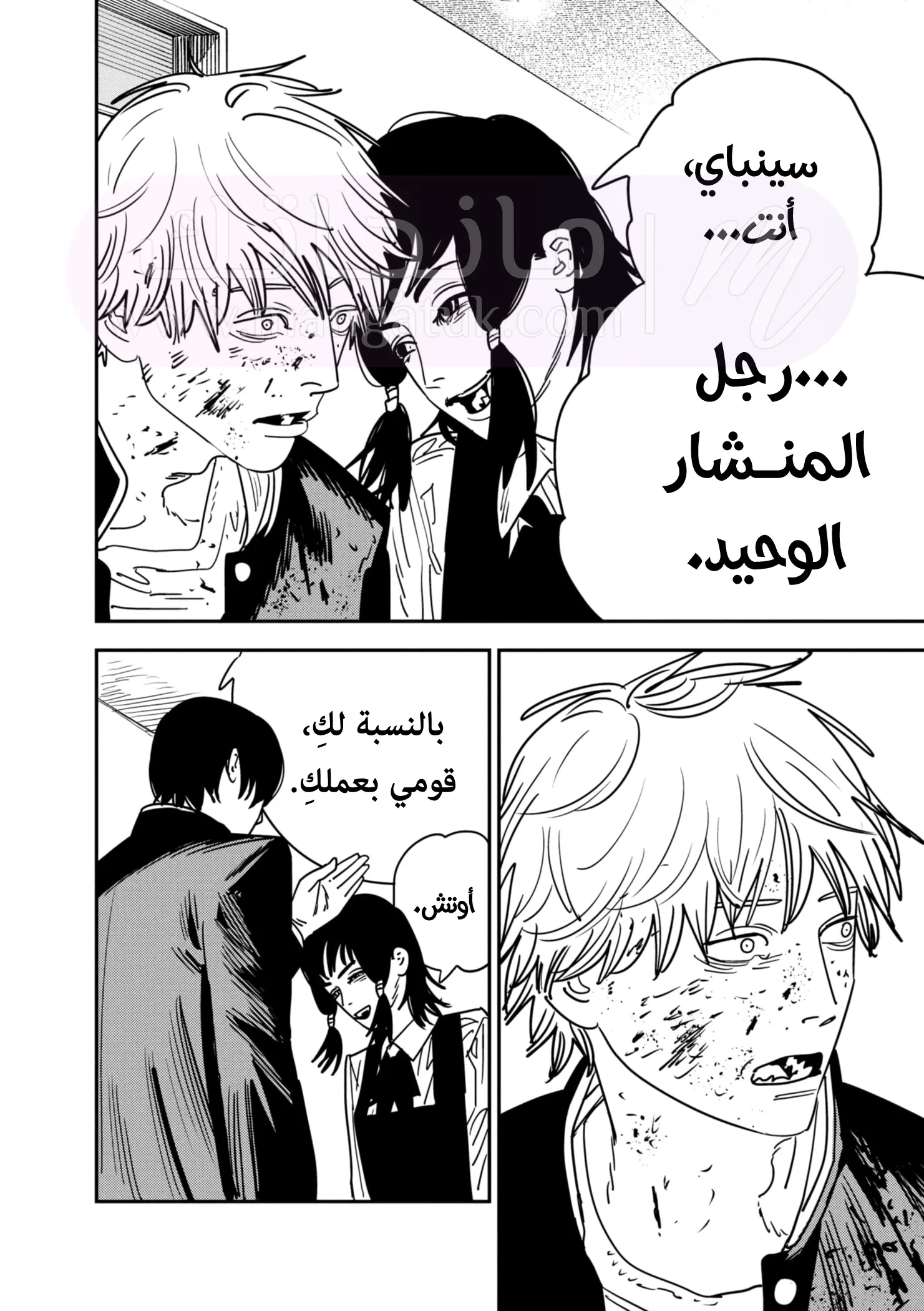 الصفحة 11
