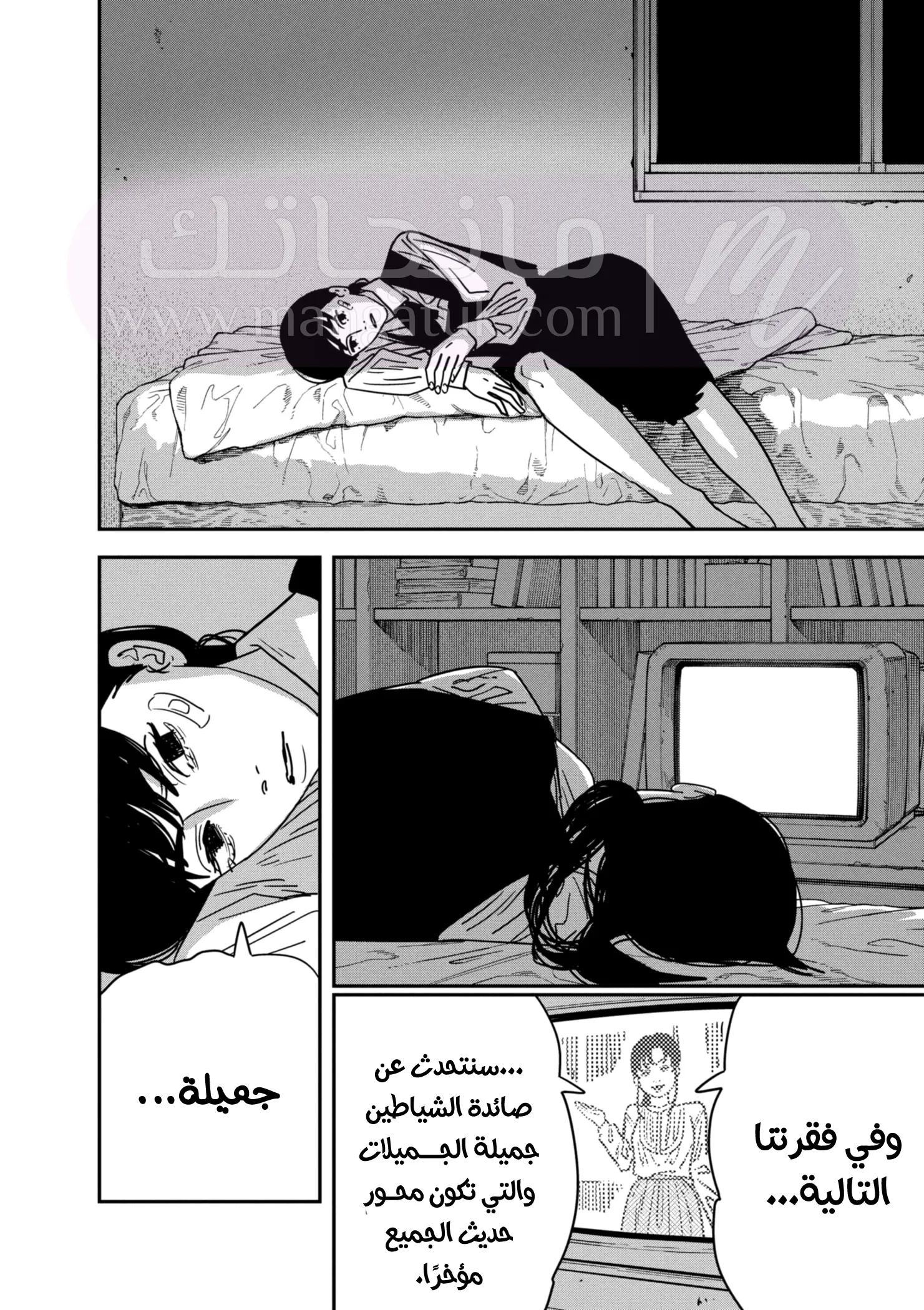 الصفحة 13