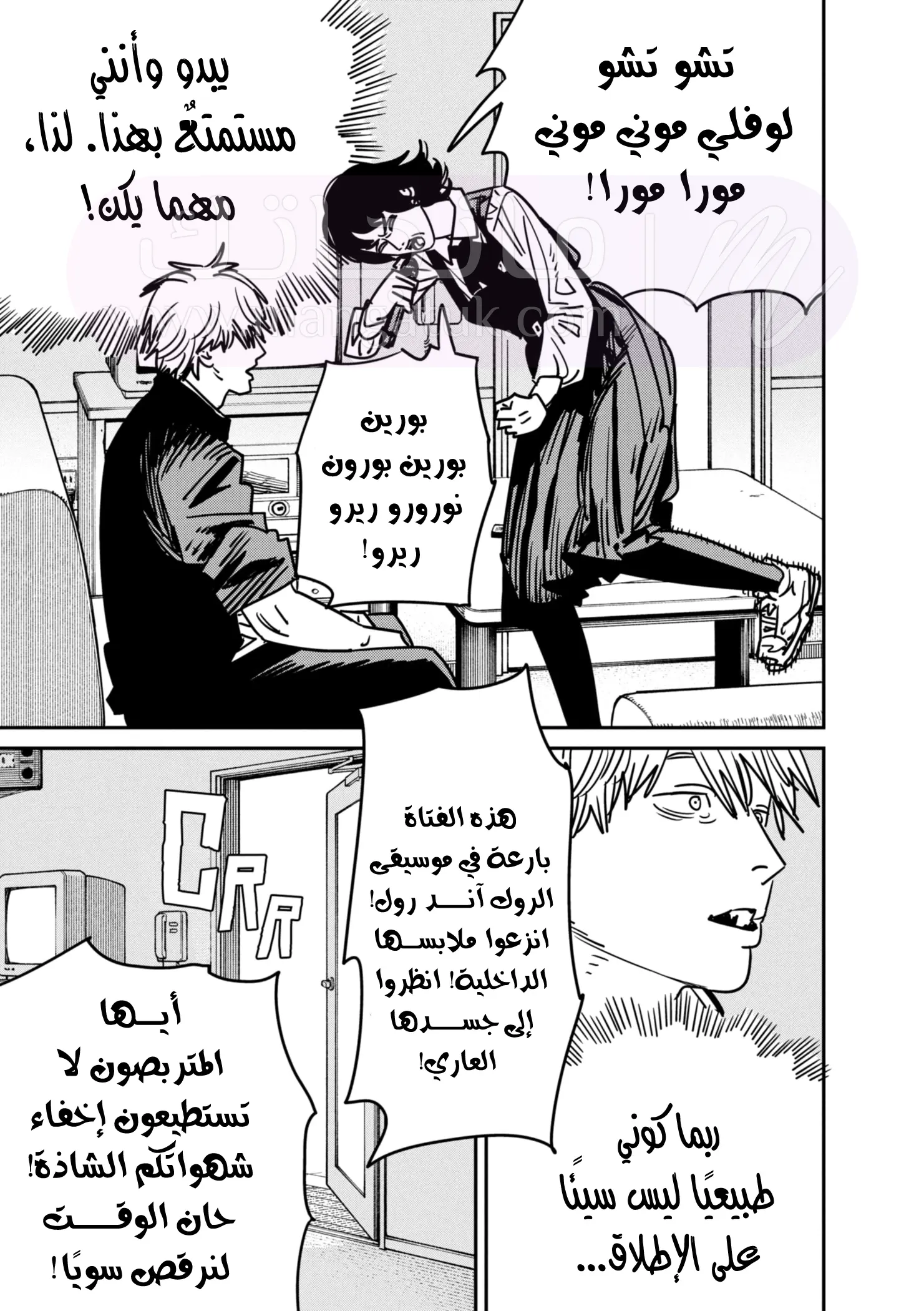 الصفحة 11