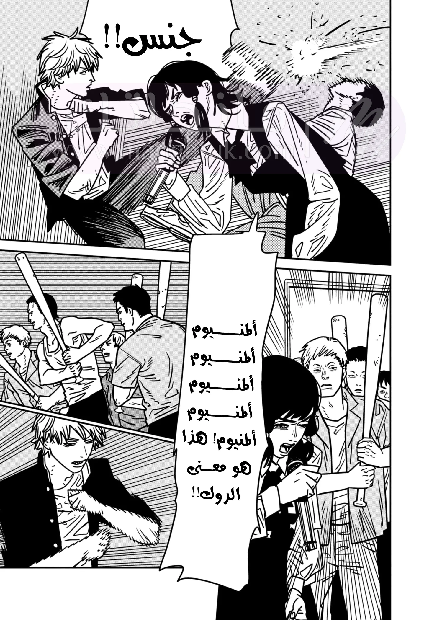 الصفحة 13
