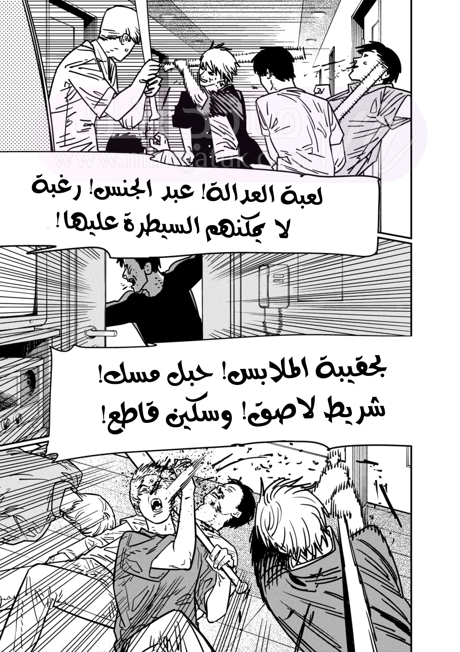 الصفحة 17
